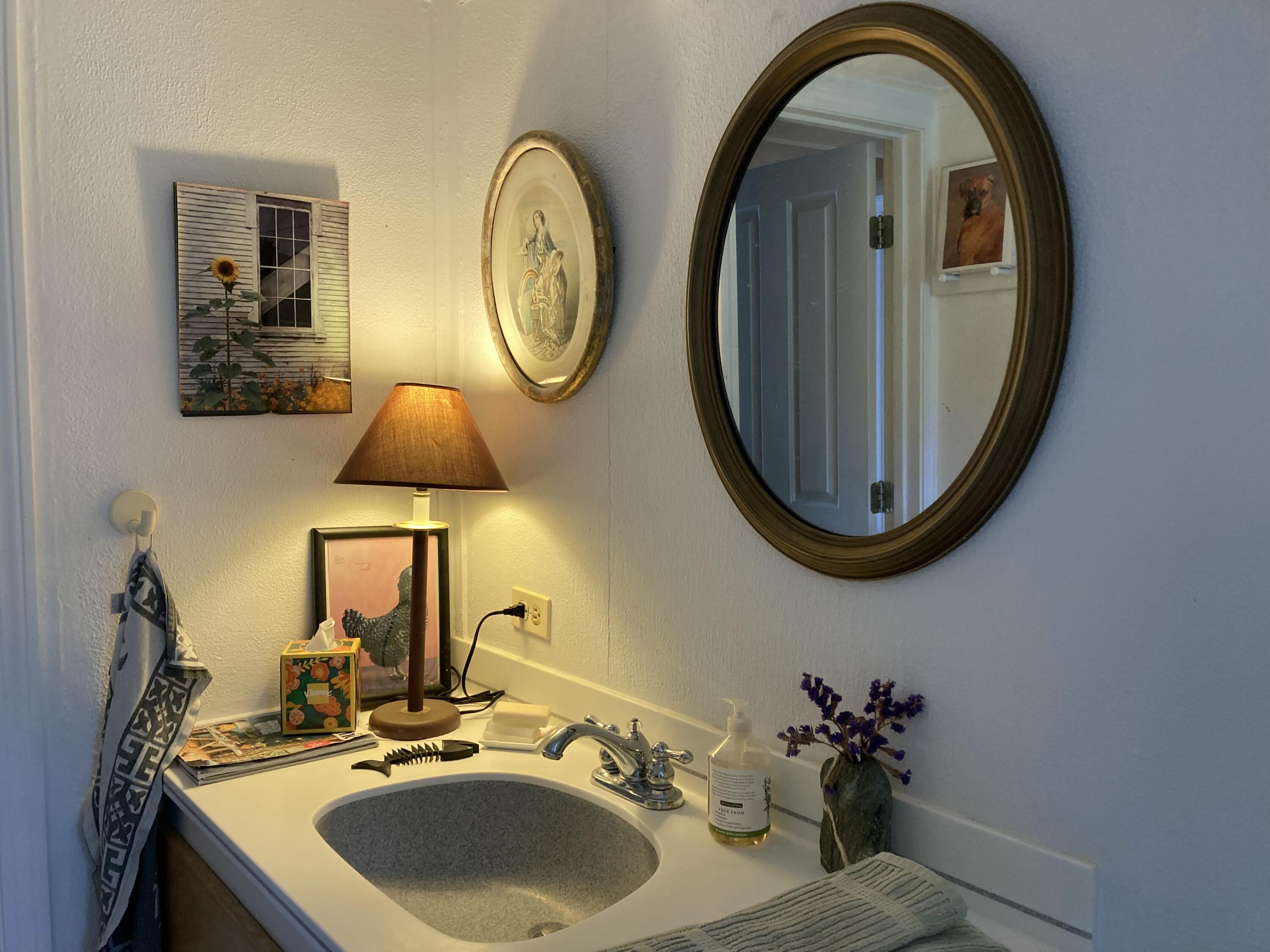 32 Taunton Keep Hancock, ME 04640 - Photo 19 of 25 Guest bath vanity.