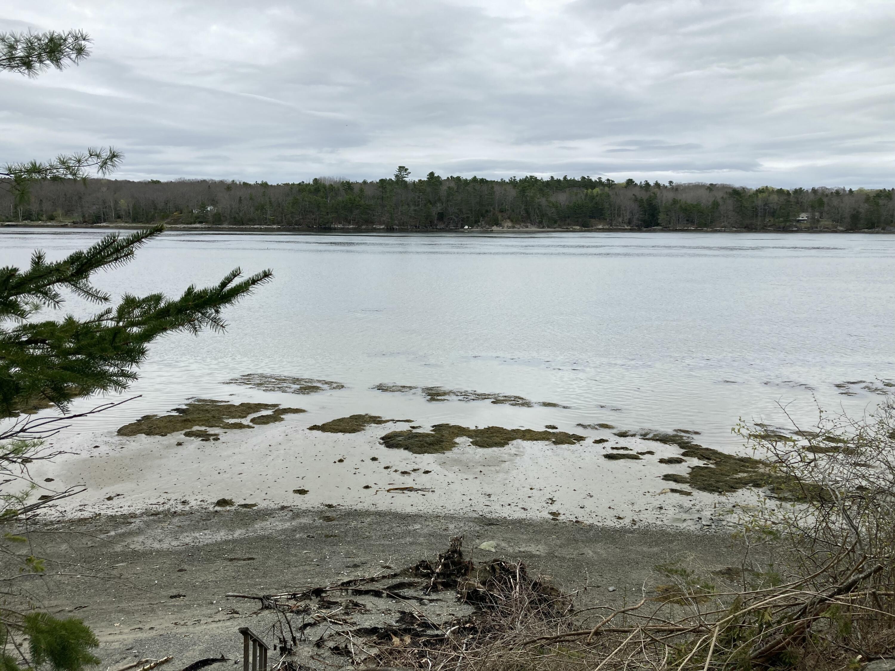 32 Taunton Keep Hancock, ME 04640 - Photo 25 of 25 Beach at low tide.