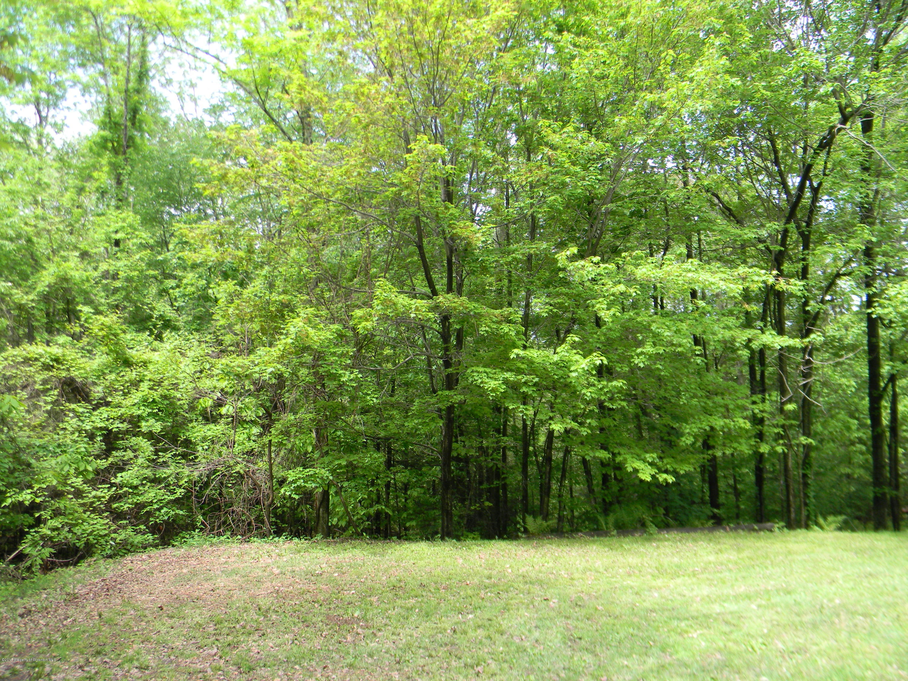 549 Fairview Road Dalton, PA 18414 - Photo 24 of 26 a view of a yard