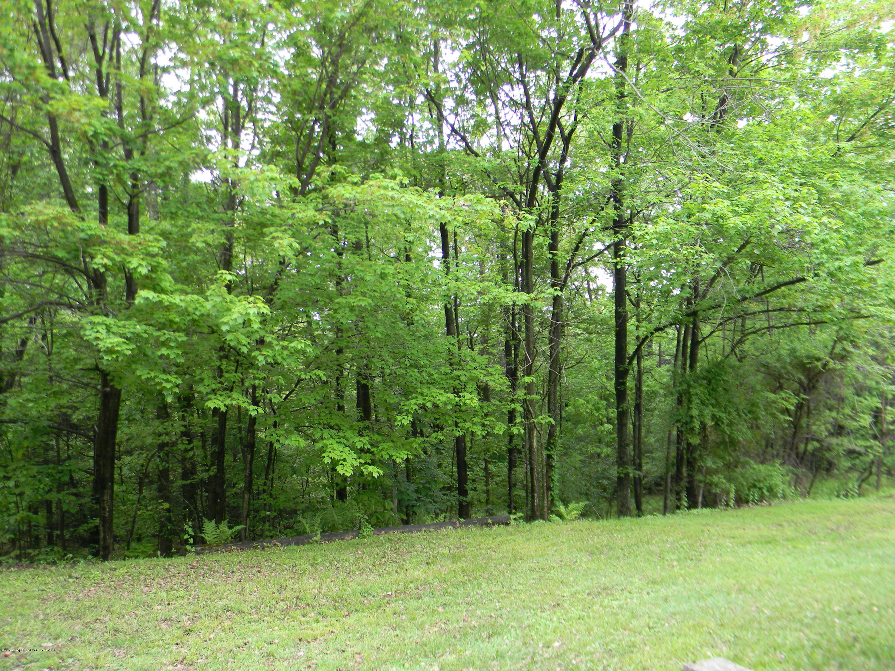 549 Fairview Road Dalton, PA 18414 - Photo 25 of 26 a view of a green yard