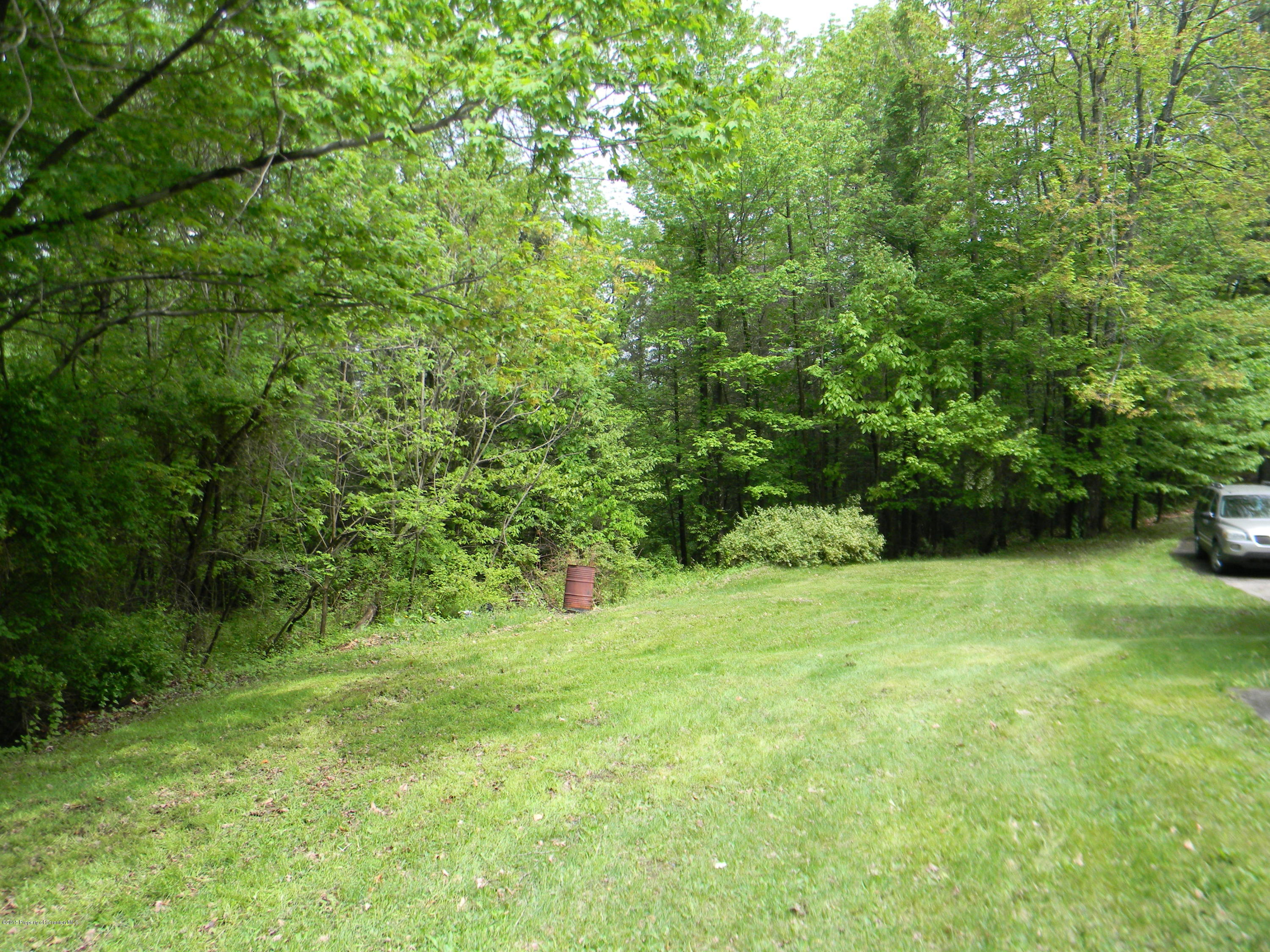 549 Fairview Road Dalton, PA 18414 - Photo 3 of 26 a view of a grassy field with trees