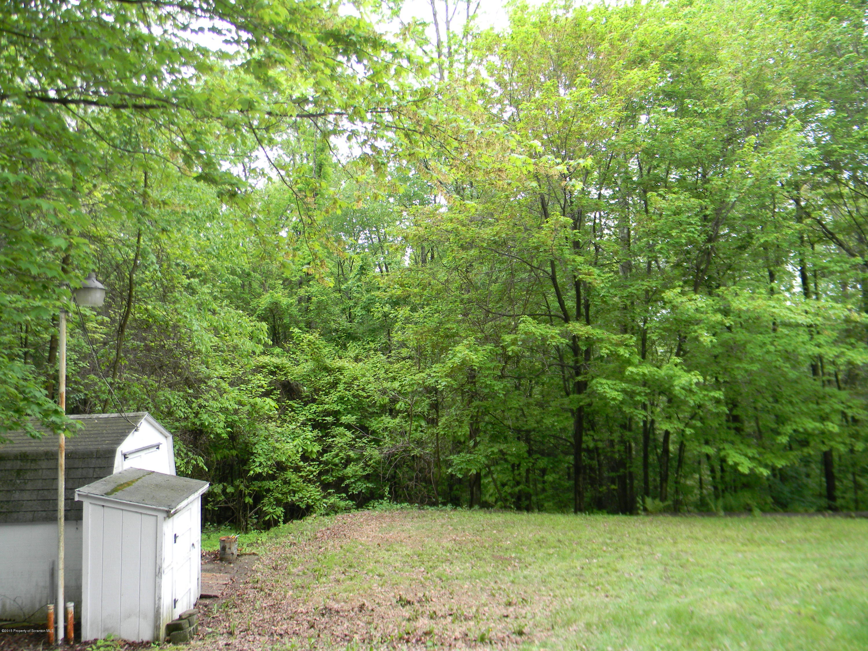 549 Fairview Road Dalton, PA 18414 - Photo 5 of 26 a view of yard with green space and trees