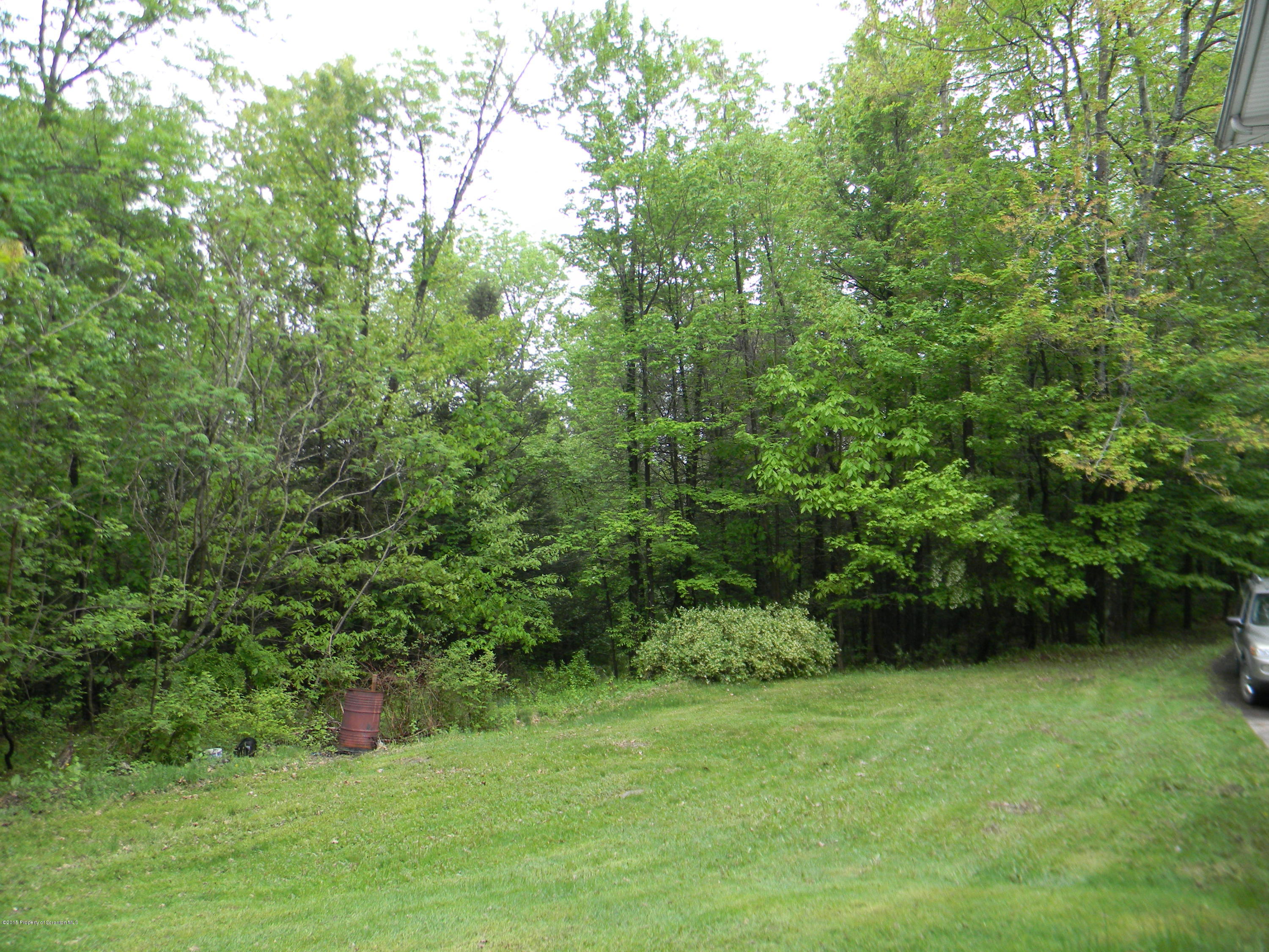 549 Fairview Road Dalton, PA 18414 - Photo 7 of 26 a view of a garden