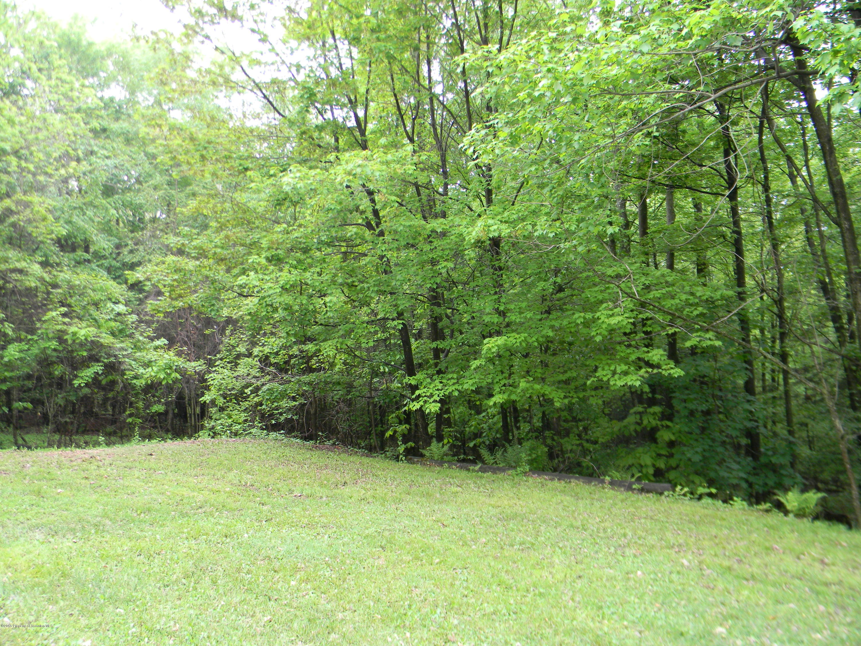 549 Fairview Road Dalton, PA 18414 - Photo 8 of 26 a view of a yard with a trees