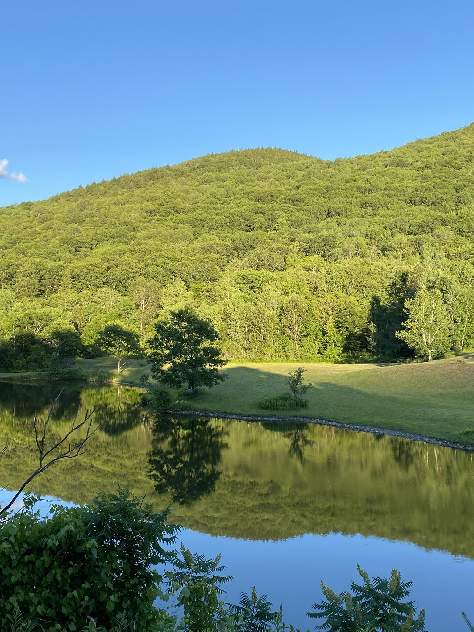 61 Putnam Road Bridgewater, VT 05035 - Photo 12 of 34