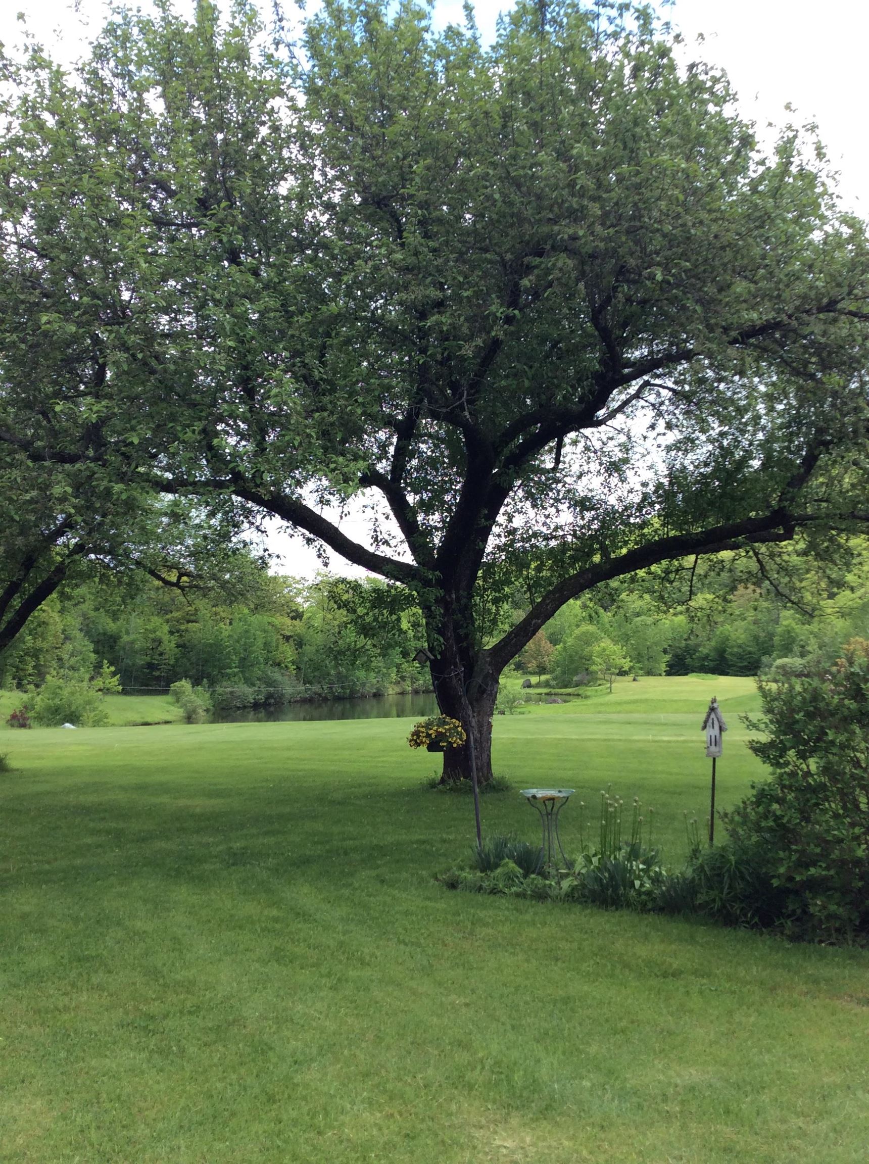 61 Putnam Road Bridgewater, VT 05035 - Photo 16 of 34