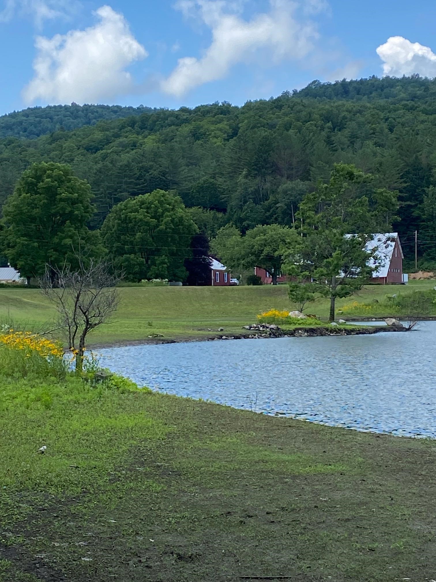 61 Putnam Road Bridgewater, VT 05035 - Photo 9 of 34