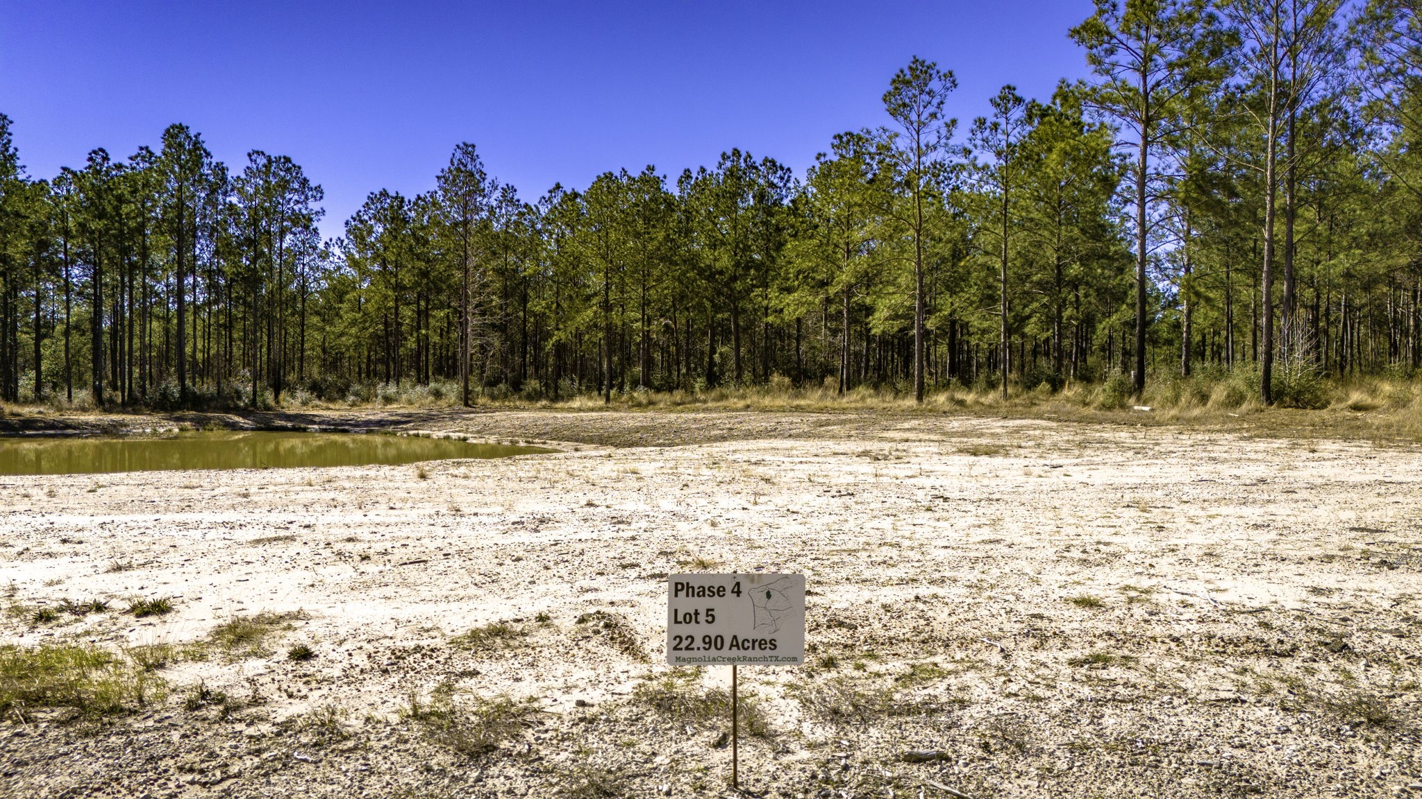 45 South King Ranch Road Onalaska, TX 77360 - Photo 8 of 15 a view of yard with trees