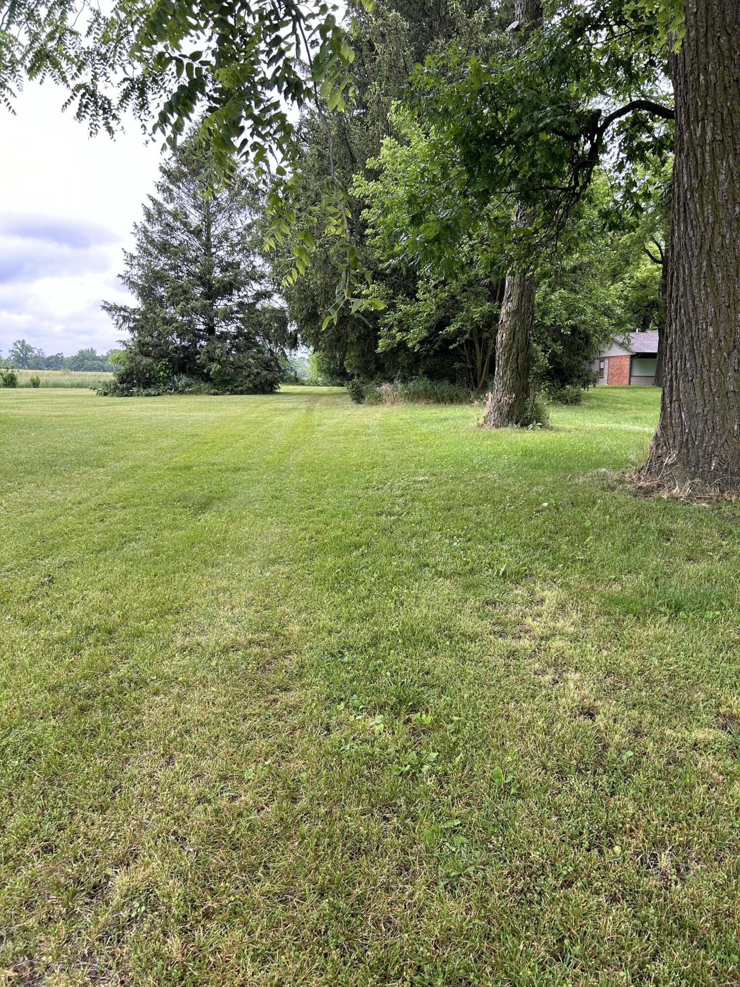 0 Bunkum Road Rensselaer, IN 47978 - Photo 8 of 16 a view of green field with trees