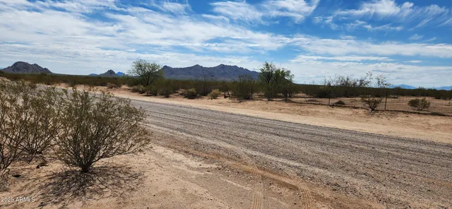 a view of road with large trees