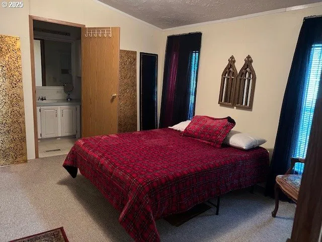 a bedroom with a bed and a closet