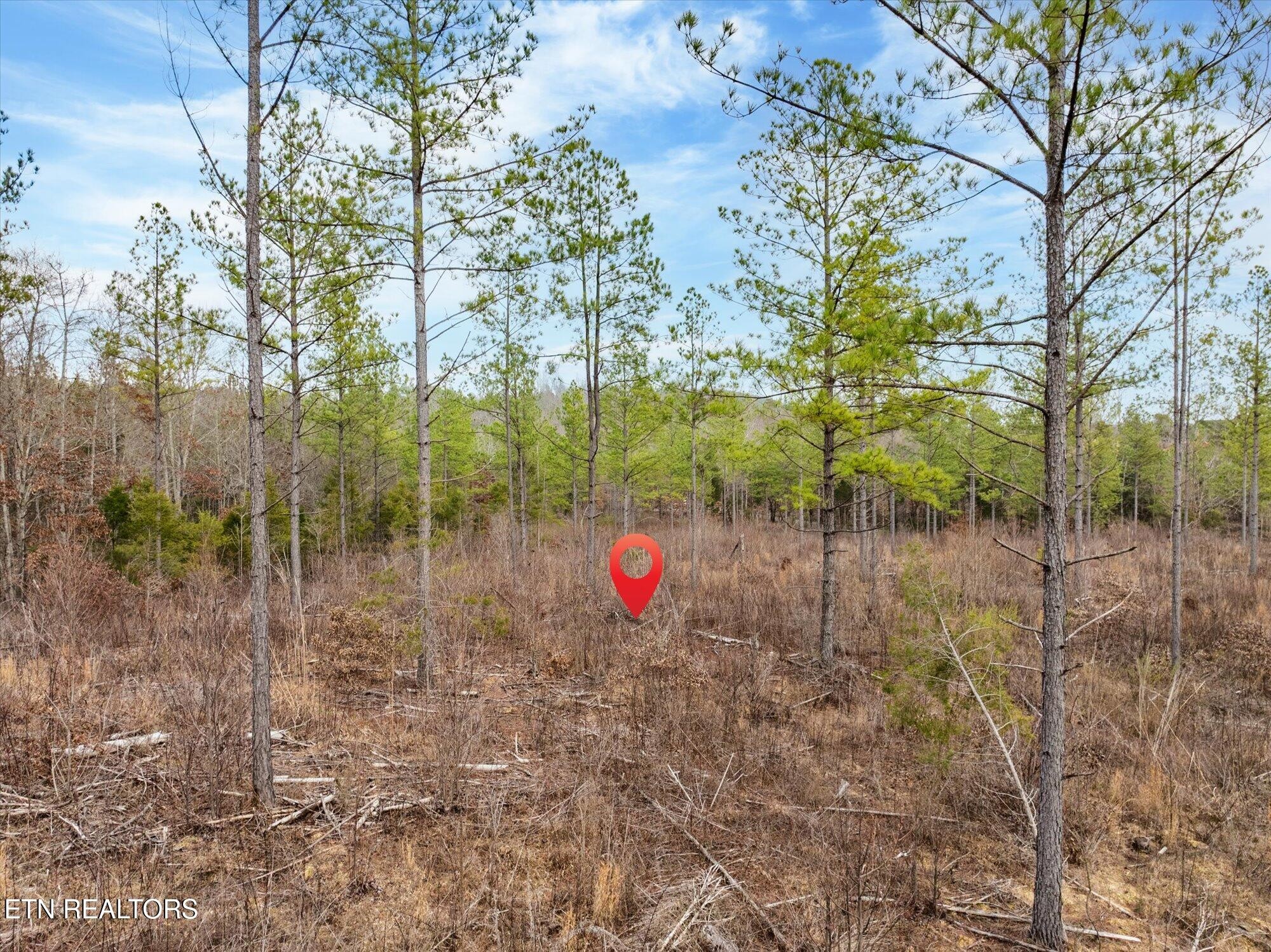 0 Big Sewee Road Decatur, TN 37322 - Photo 10 of 16