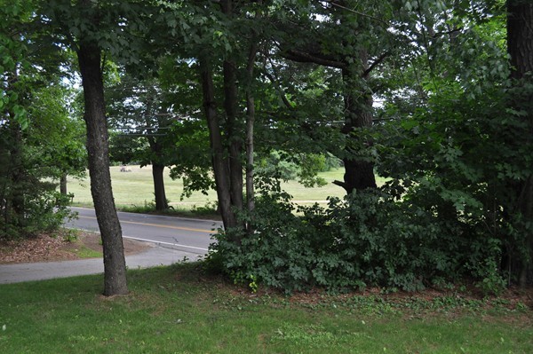 91 South Ashburnham Road Westminster, MA 01473 - Photo 20 of 25 Gallery Image 20