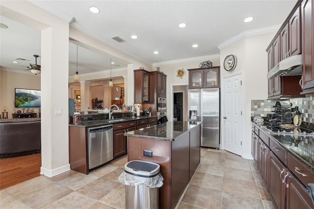 11403 Biddeford Place New Port Richey, FL 34654 - Photo 19 of 78