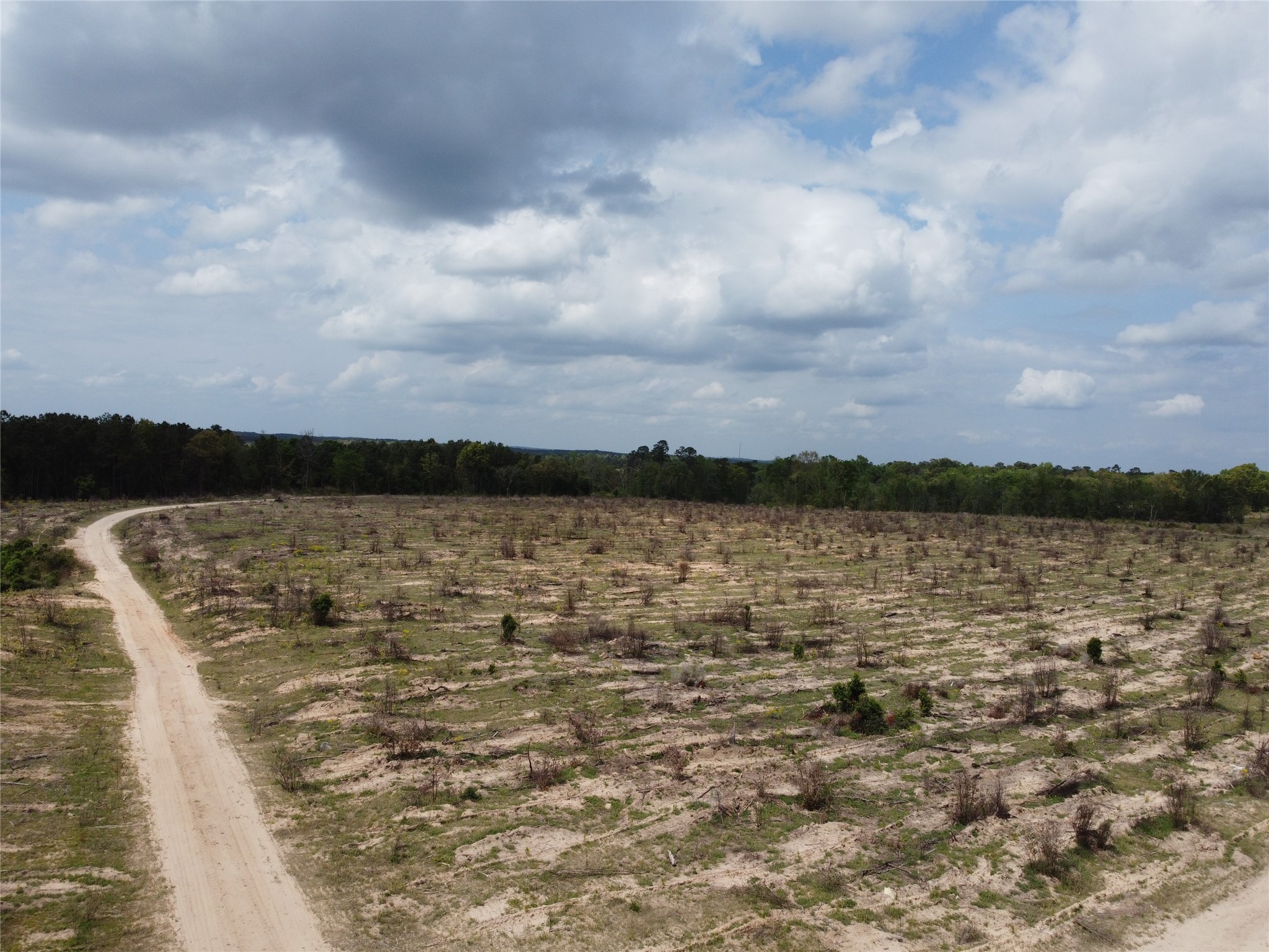 781 Sand Country Road Jefferson, TX 75657 - Photo 12 of 21 a view of lake