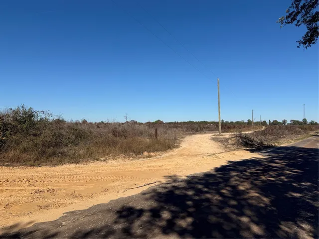 a bird view of a garden