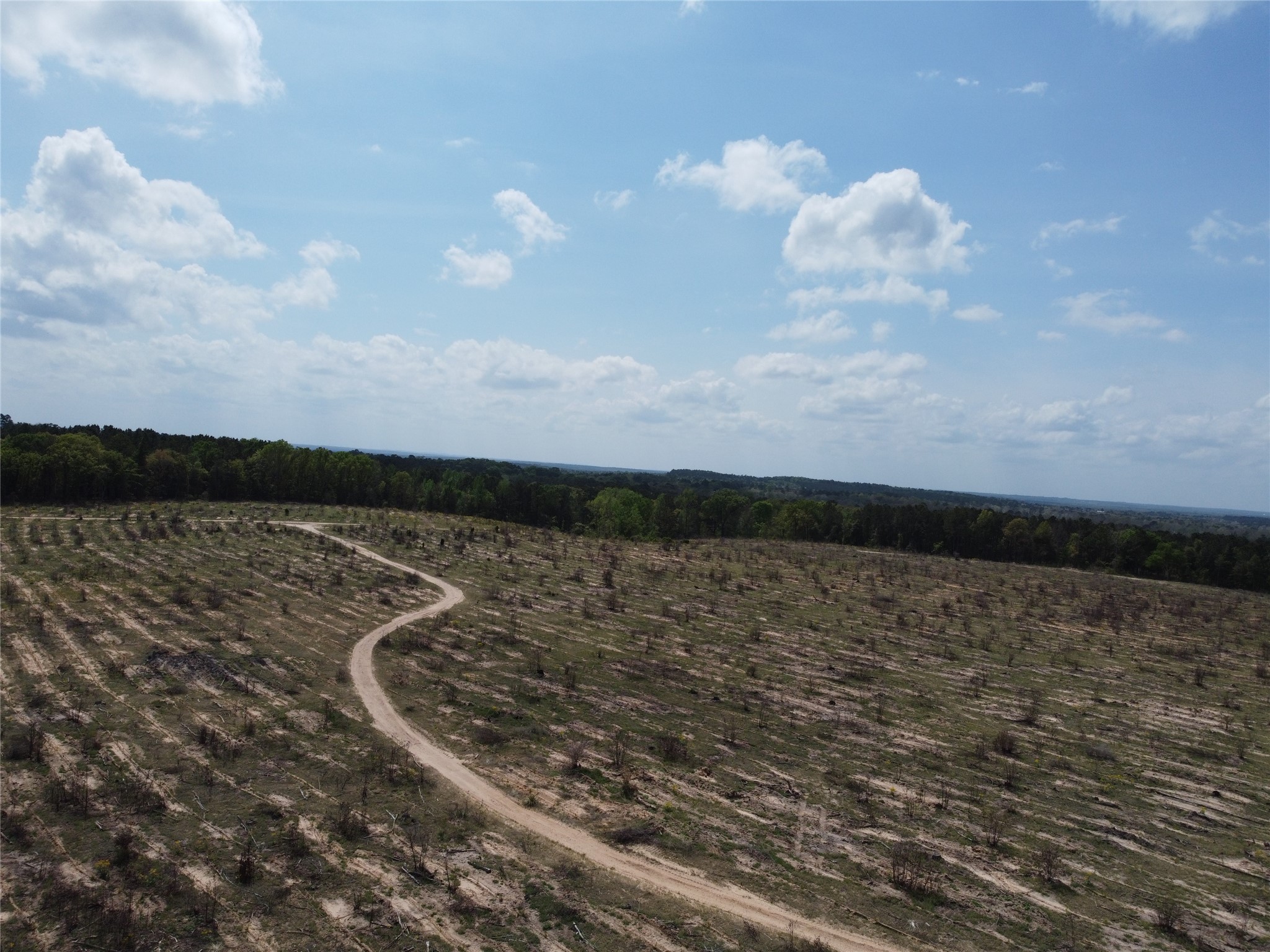 781 Sand Country Road Jefferson, TX 75657 - Photo 17 of 21 a view of a lake