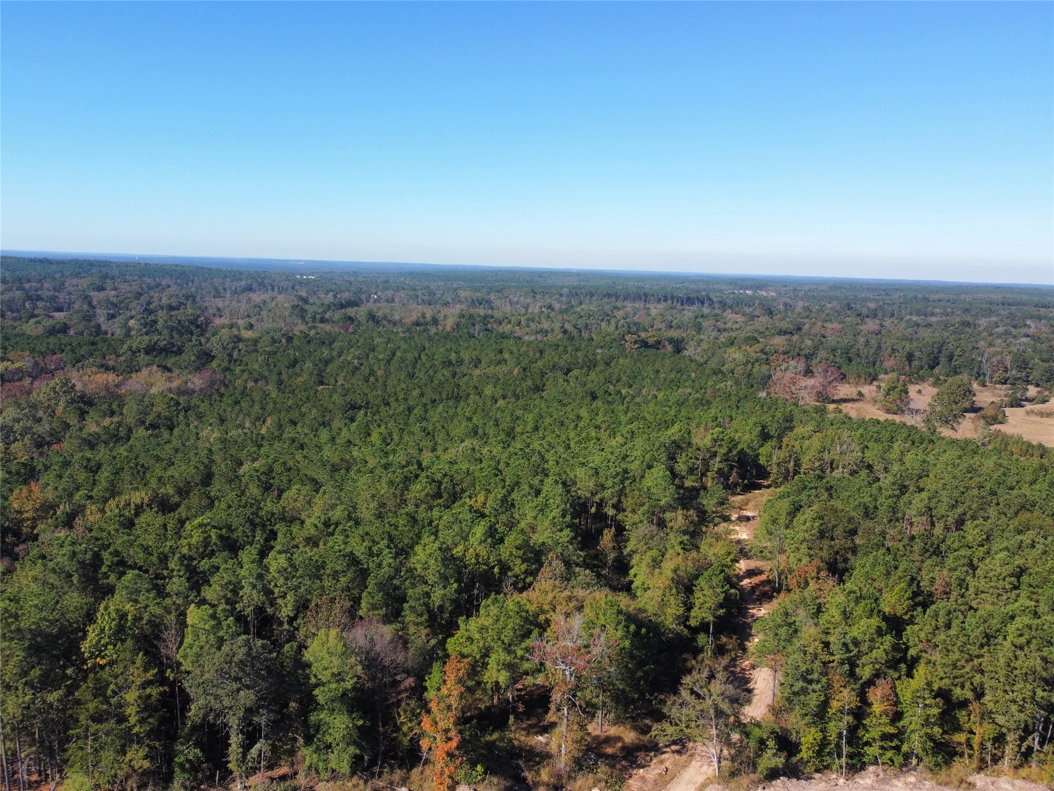 781 Sand Country Road Jefferson, TX 75657 - Photo 3 of 21 an aerial view of a city