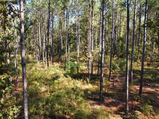 $603,552 | 781 Sand Country Road, Jefferson, TX 75657