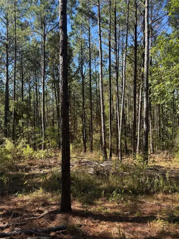 $603,552 | 781 Sand Country Road, Jefferson, TX 75657