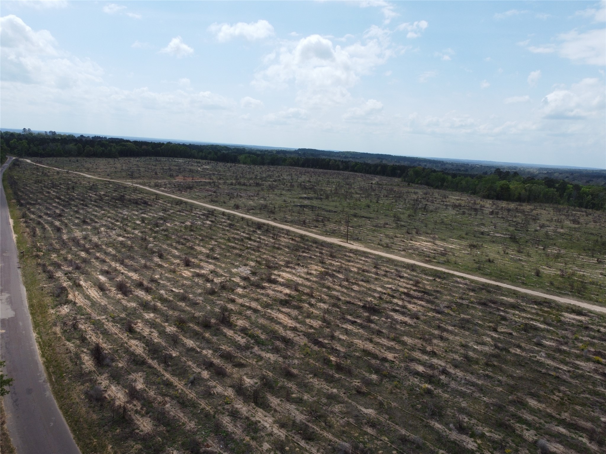 781 Sand Country Road Jefferson, TX 75657 - Photo 9 of 21