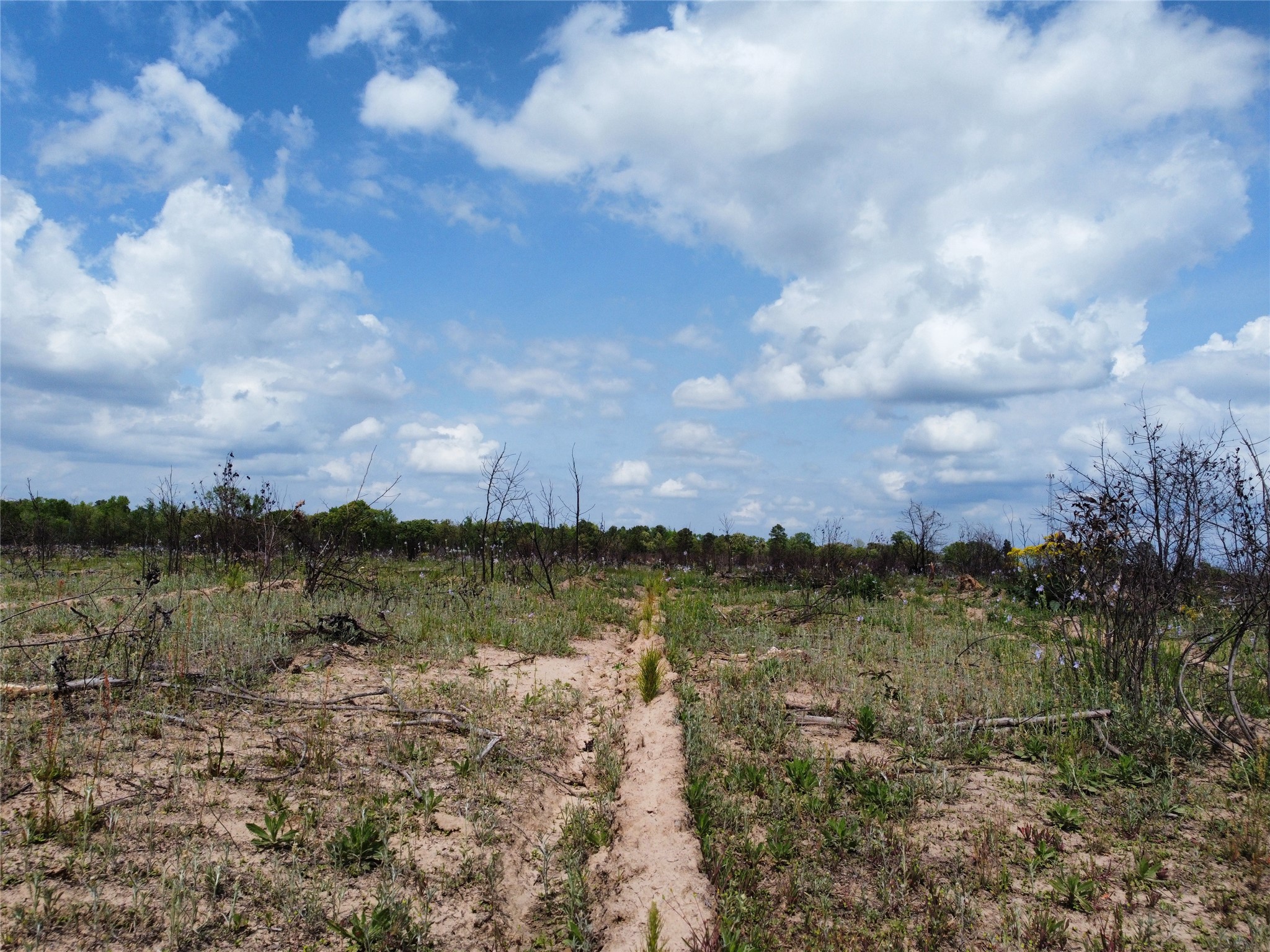 781 Sand Country Road Jefferson, TX 75657 - Photo 10 of 21 a view of a lake