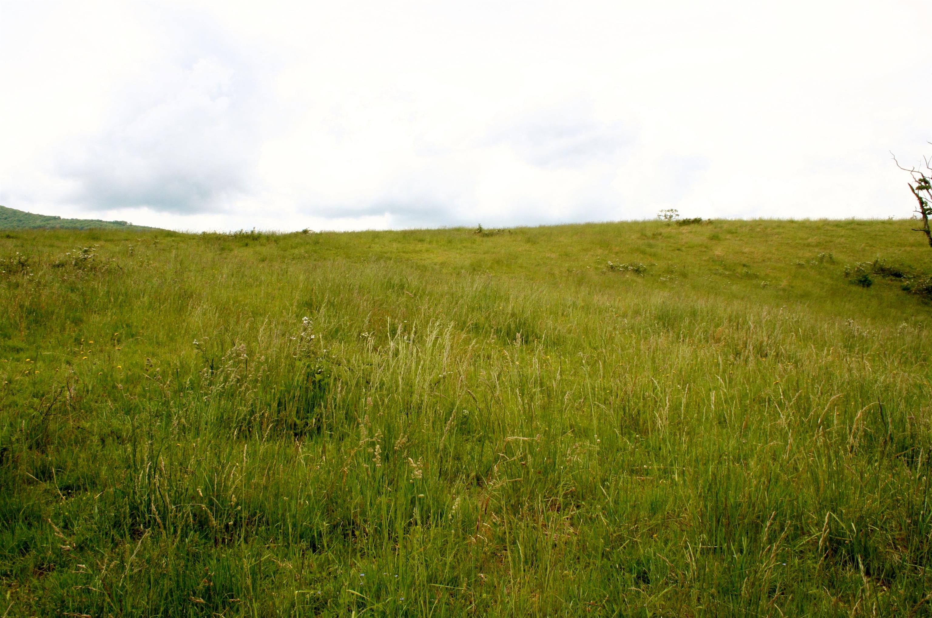 Seldom Seen Road McDowell, VA 24458 - Photo 16 of 30 a view of an ocean