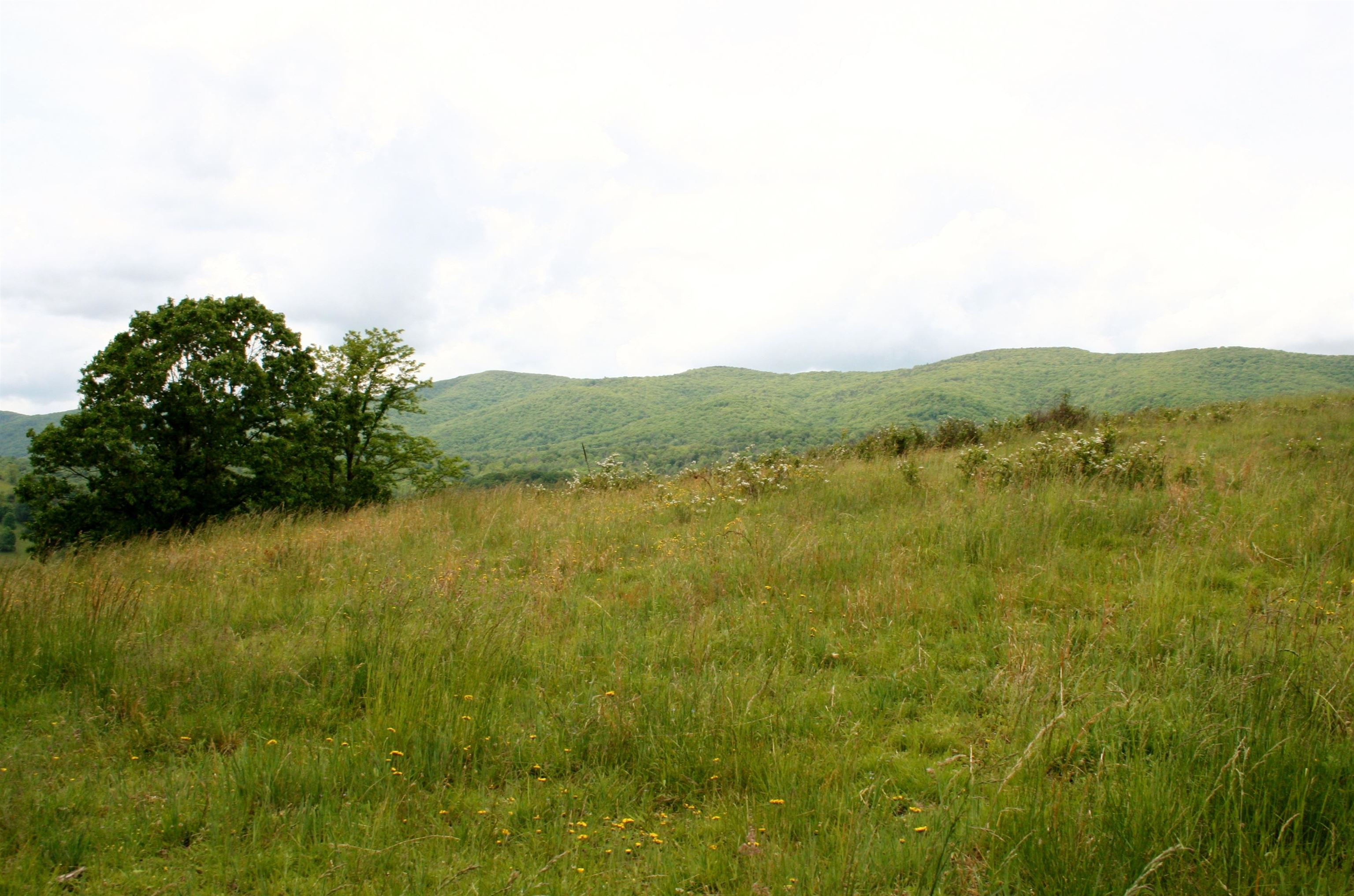 Seldom Seen Road McDowell, VA 24458 - Photo 17 of 30 a view of lake with mountain