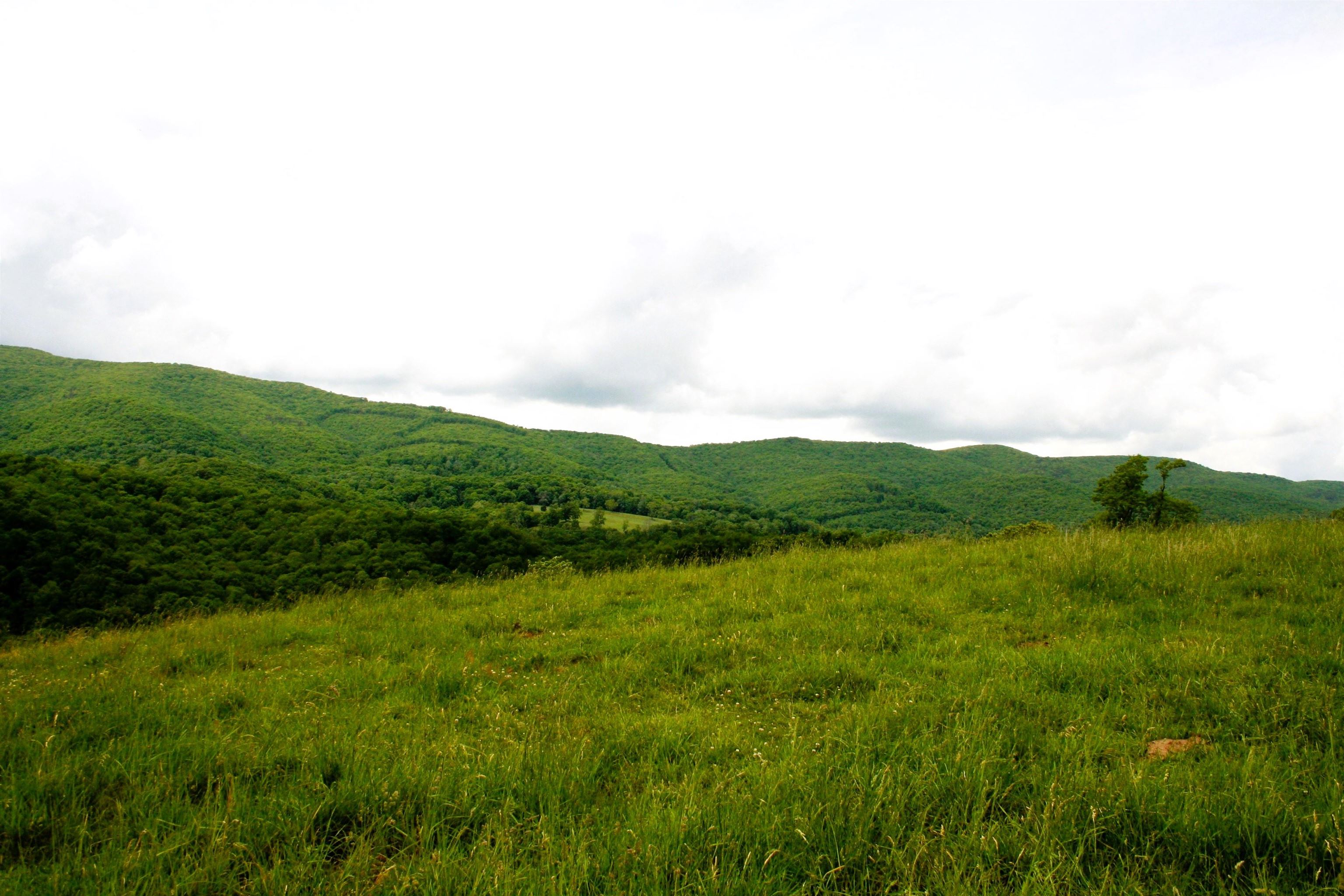 Seldom Seen Road McDowell, VA 24458 - Photo 19 of 30 a view of a lush green outdoor space with a lake view