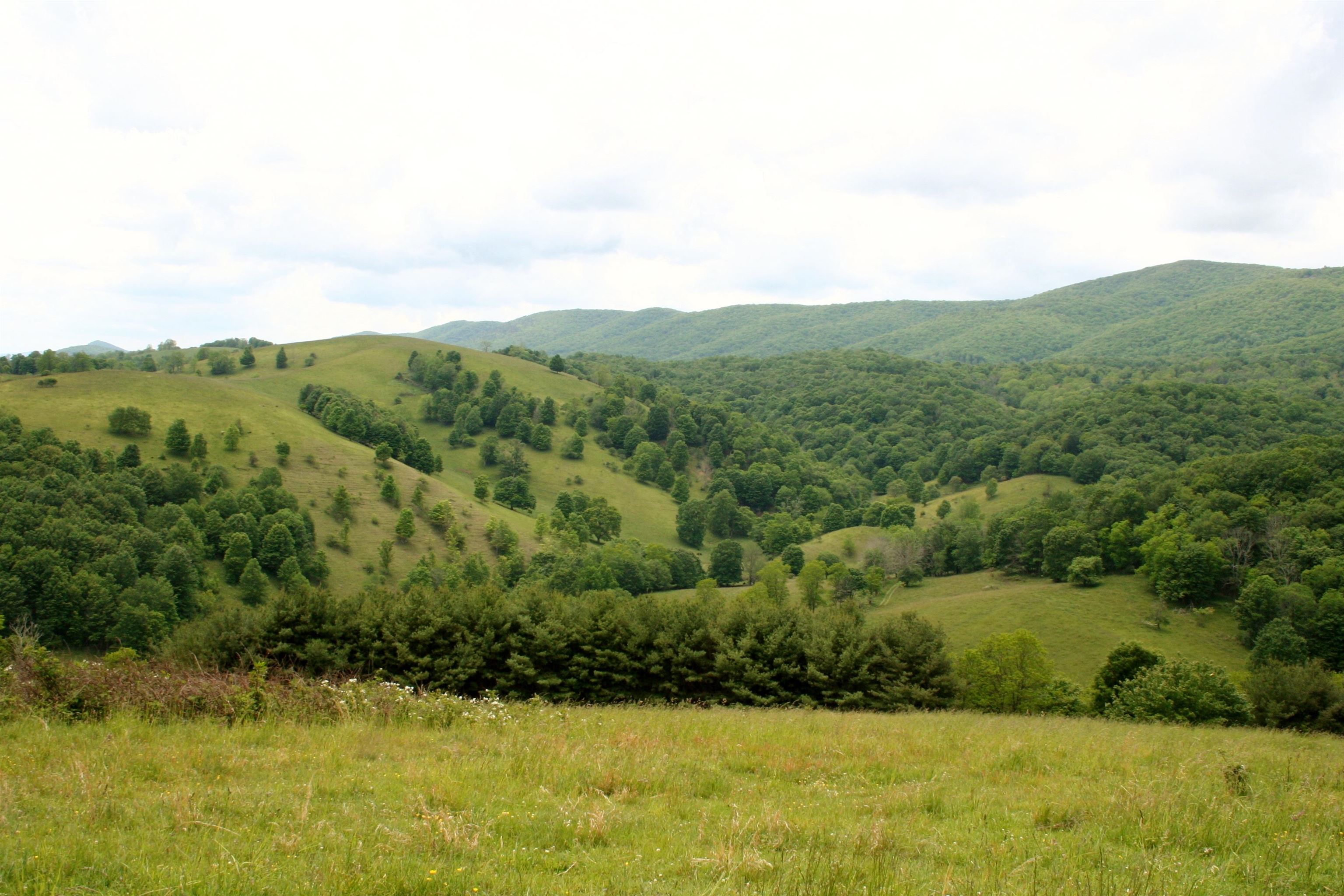 Seldom Seen Road McDowell, VA 24458 - Photo 20 of 30 a view of a lake with mountains in the background