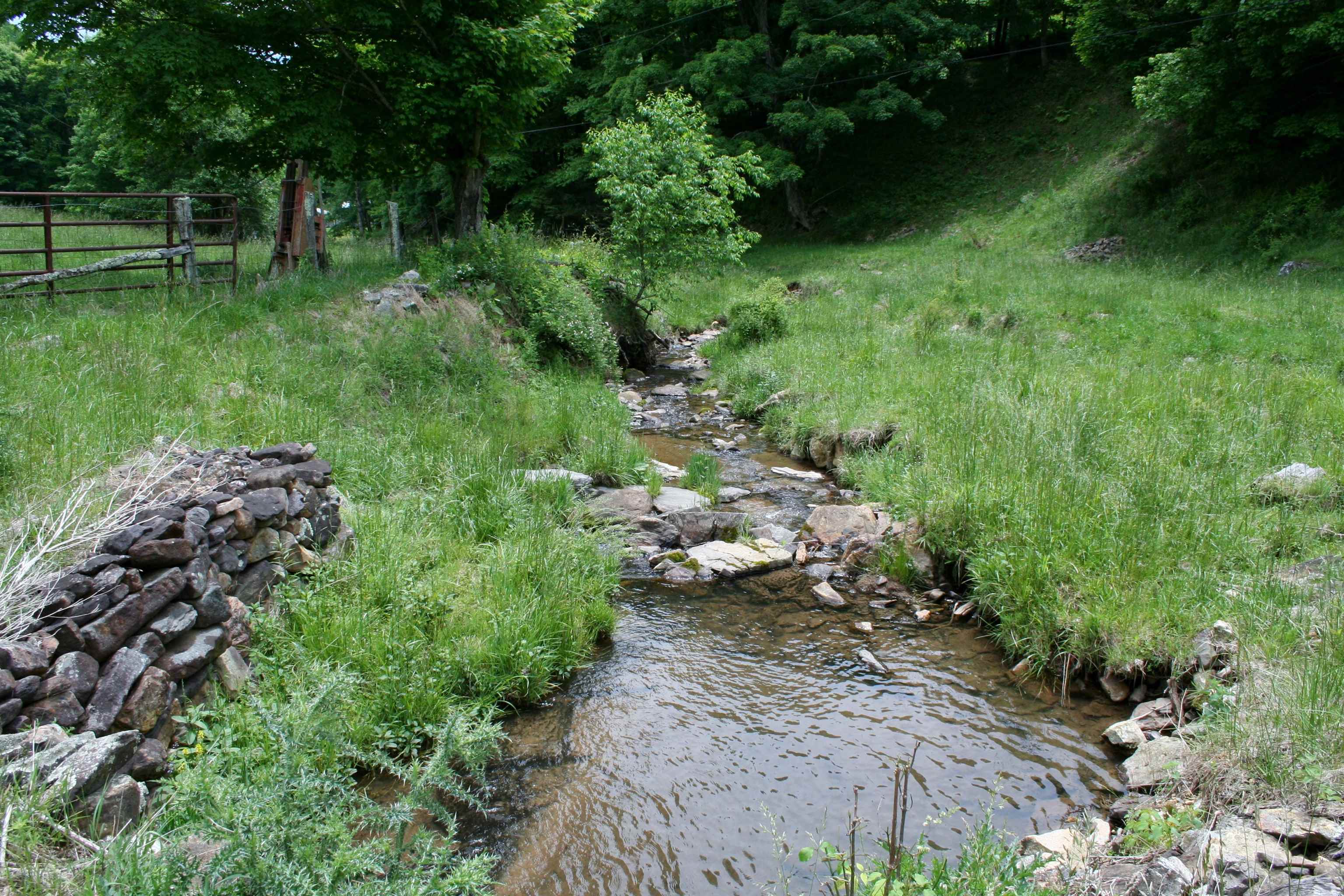 Seldom Seen Road McDowell, VA 24458 - Photo 2 of 30 a backyard of a house with lots of green space