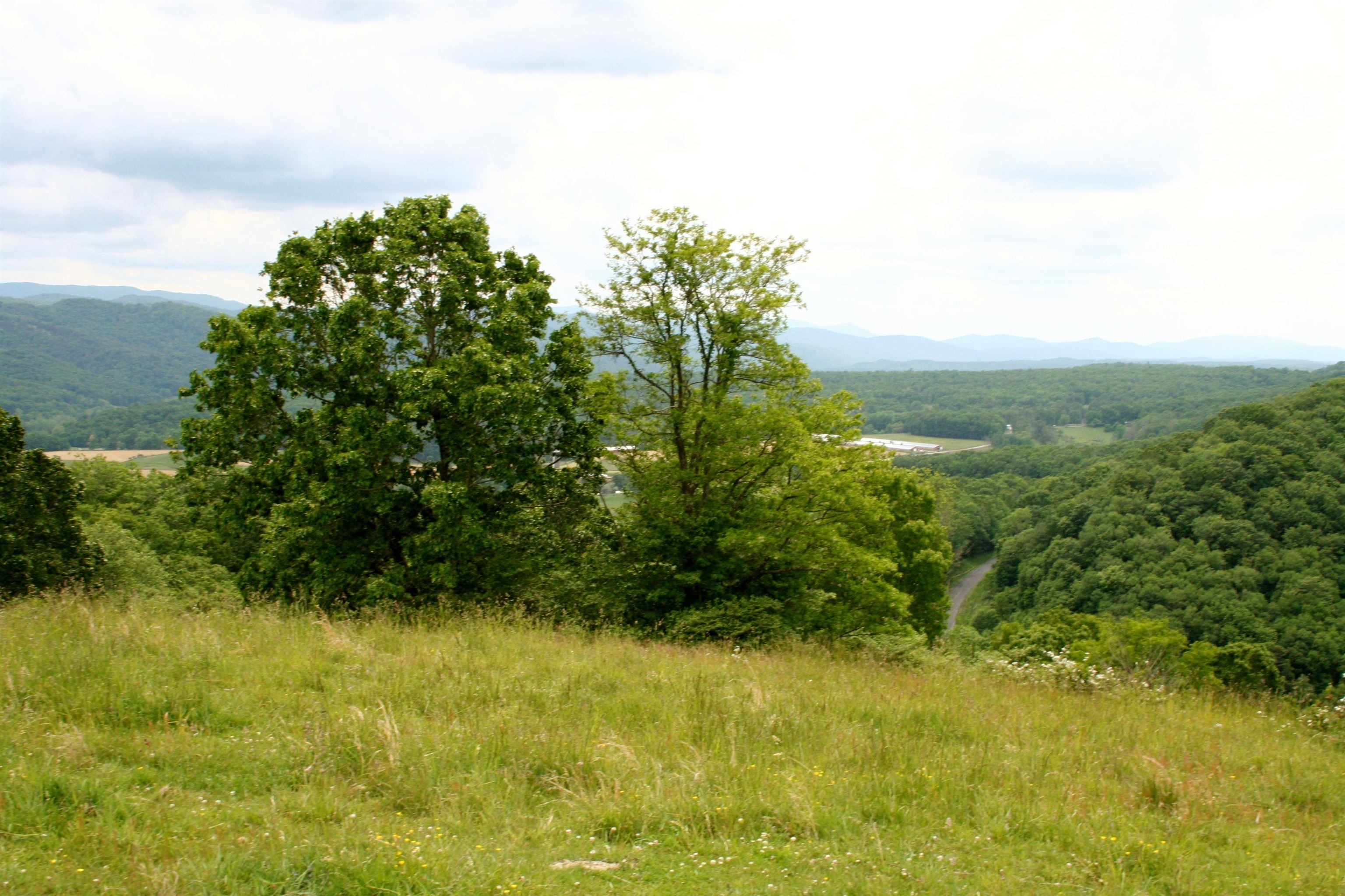 Seldom Seen Road McDowell, VA 24458 - Photo 21 of 30