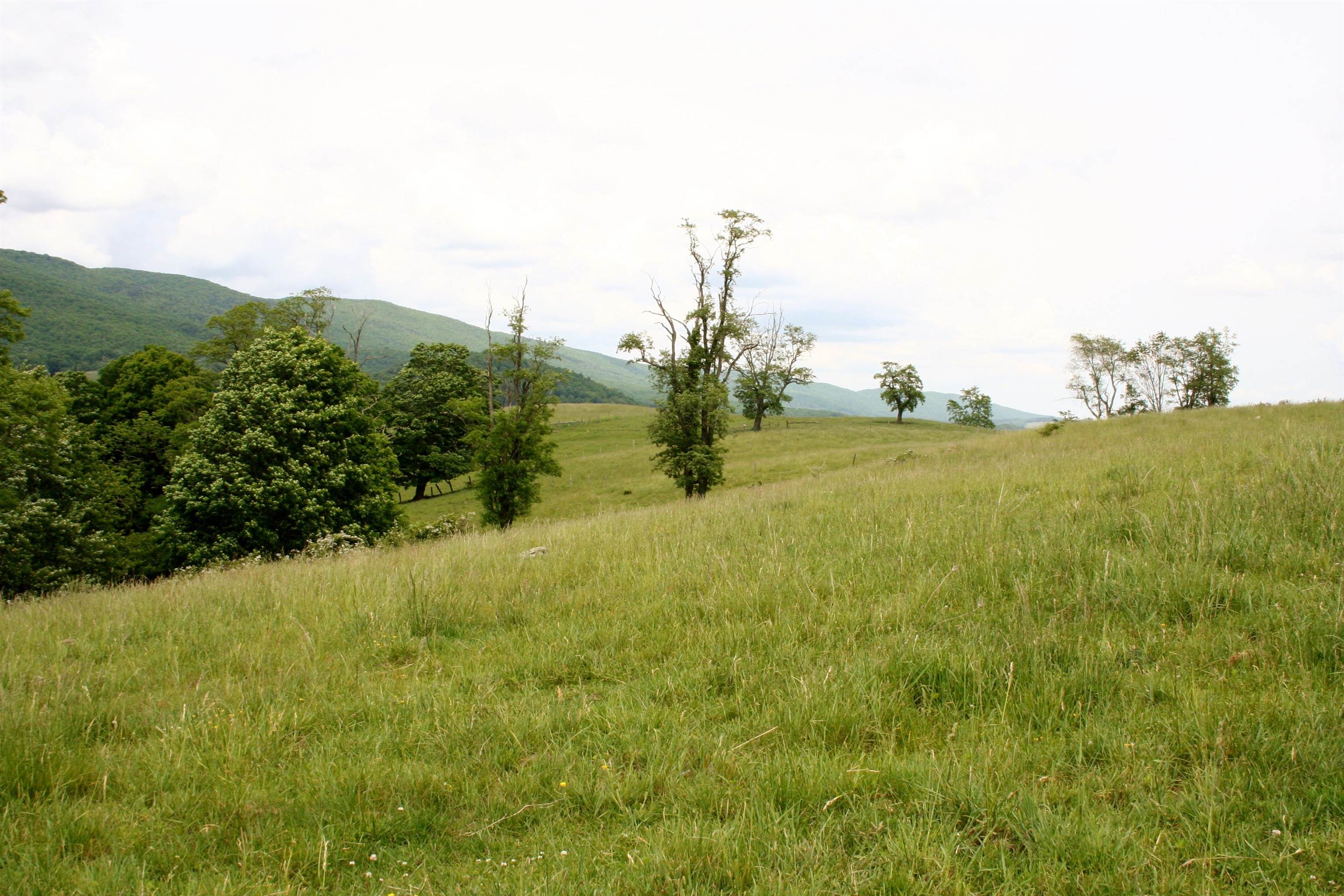 Seldom Seen Road McDowell, VA 24458 - Photo 22 of 30 a view of a field with a tree in the background