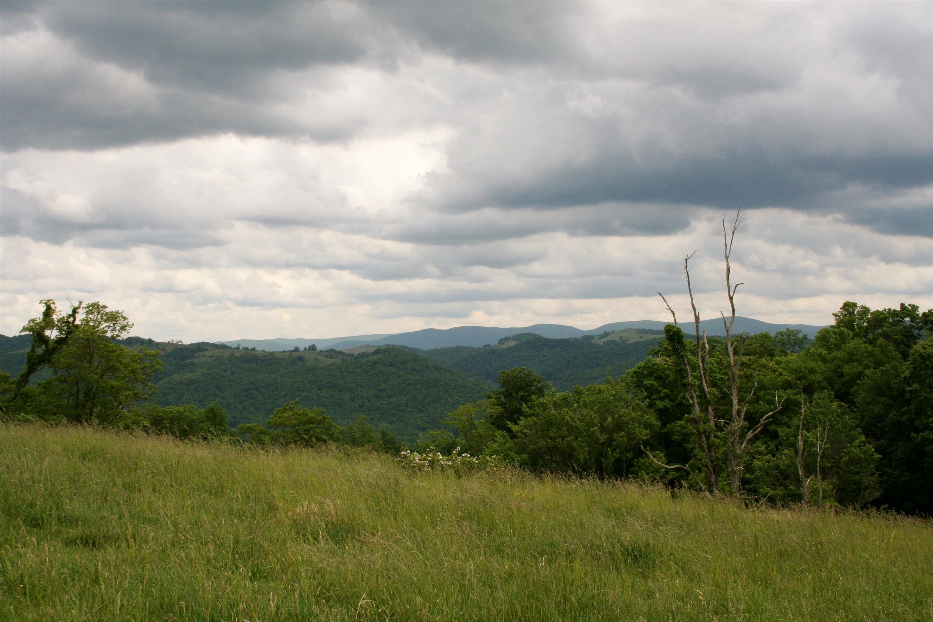 Seldom Seen Road McDowell, VA 24458 - Photo 23 of 30 a view of a garden and mountains