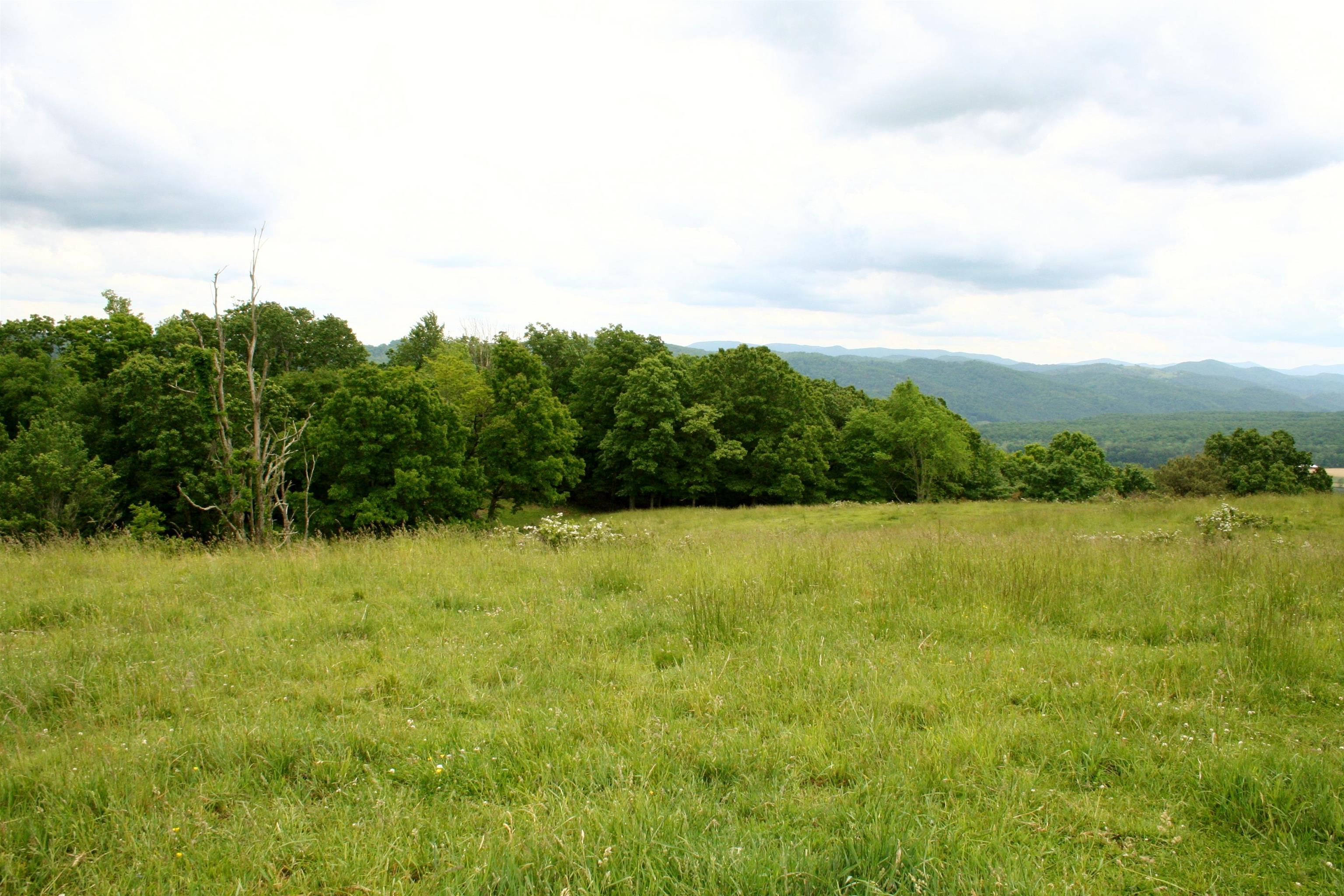 Seldom Seen Road McDowell, VA 24458 - Photo 24 of 30 a view of an ocean from a yard