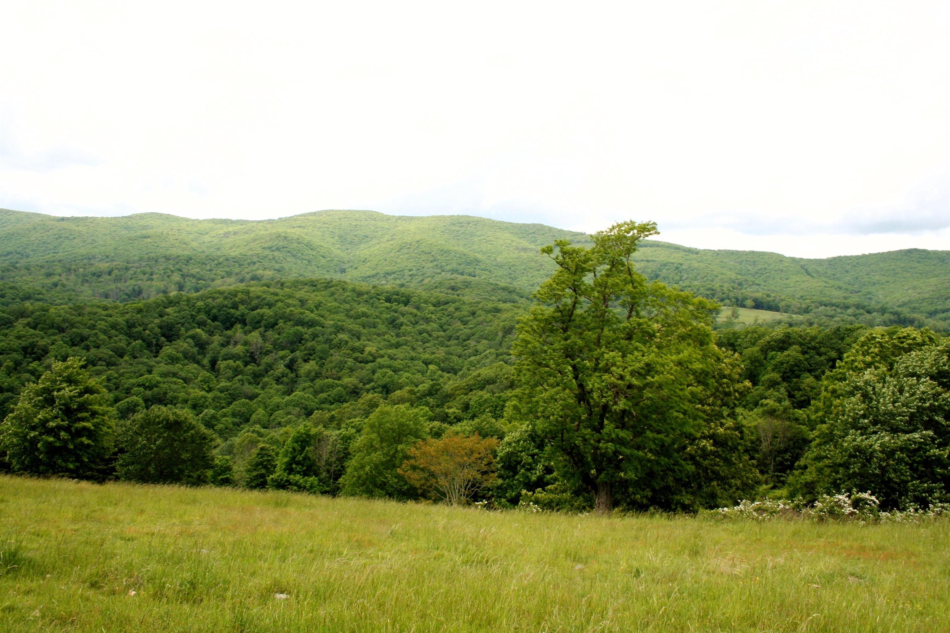 Seldom Seen Road McDowell, VA 24458 - Photo 26 of 30 a view of a yard with a mountain