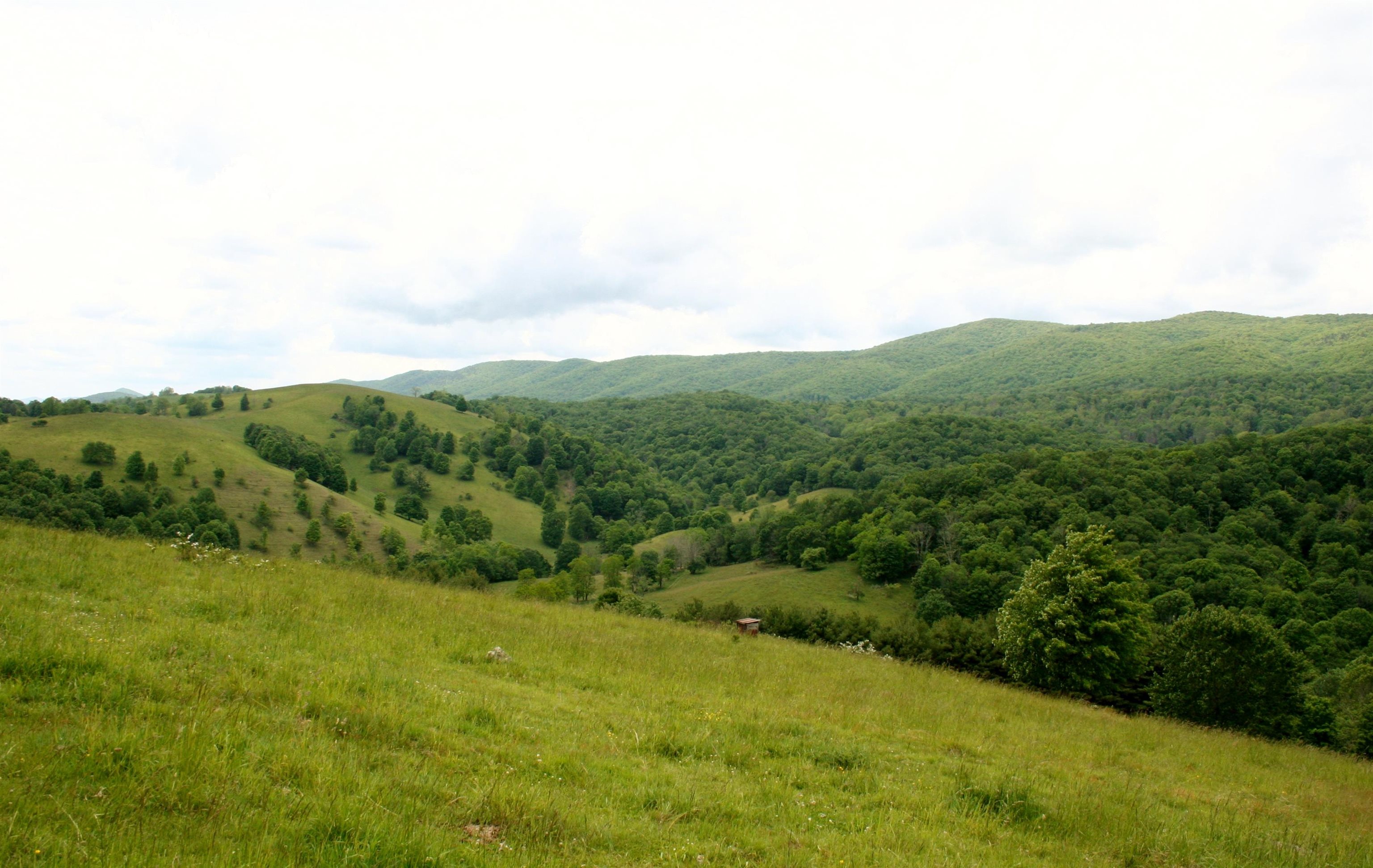 Seldom Seen Road McDowell, VA 24458 - Photo 27 of 30 a view of a mountain range with lush green forest