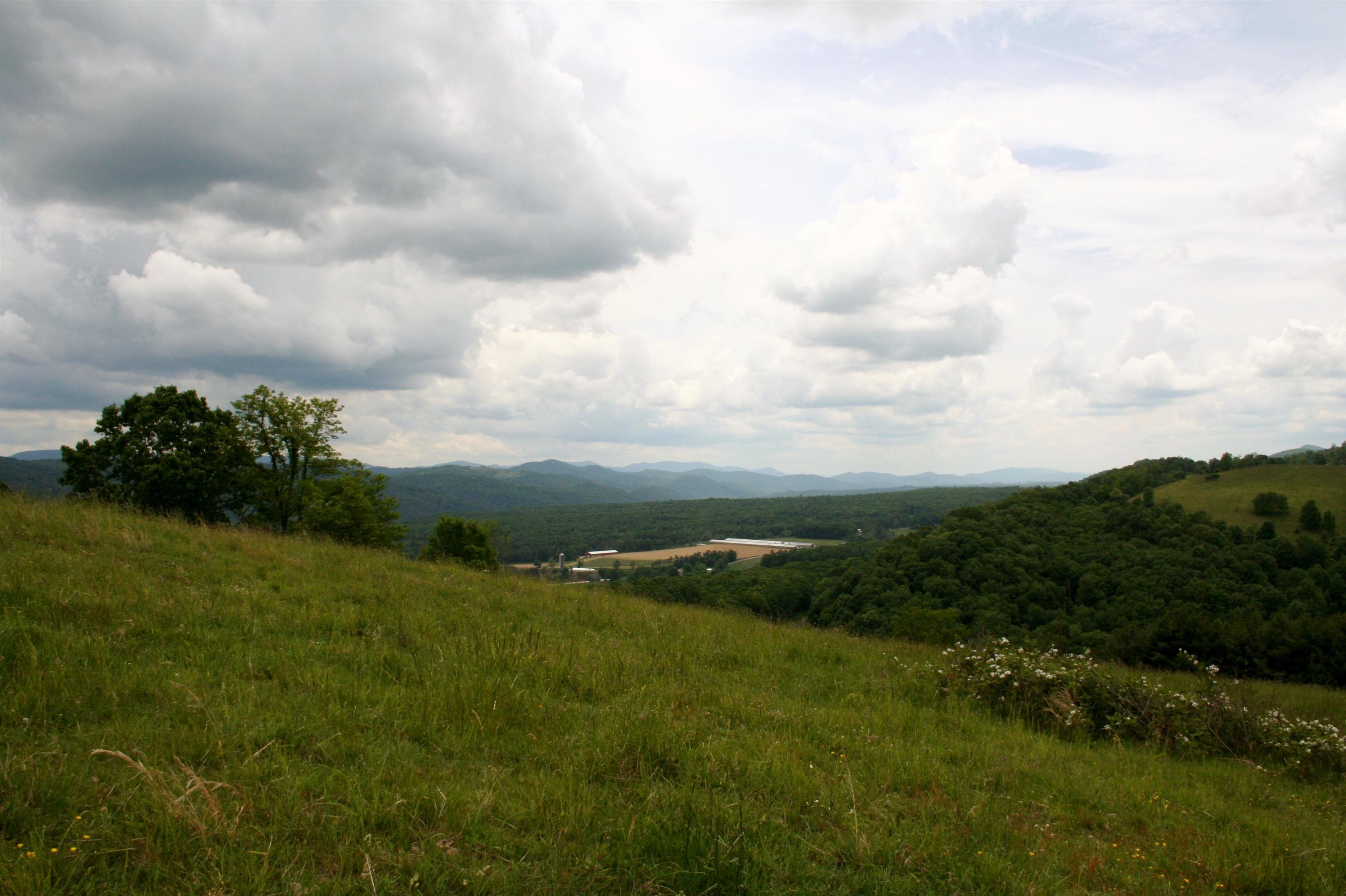 Seldom Seen Road McDowell, VA 24458 - Photo 28 of 30 a view of a field of grass and trees