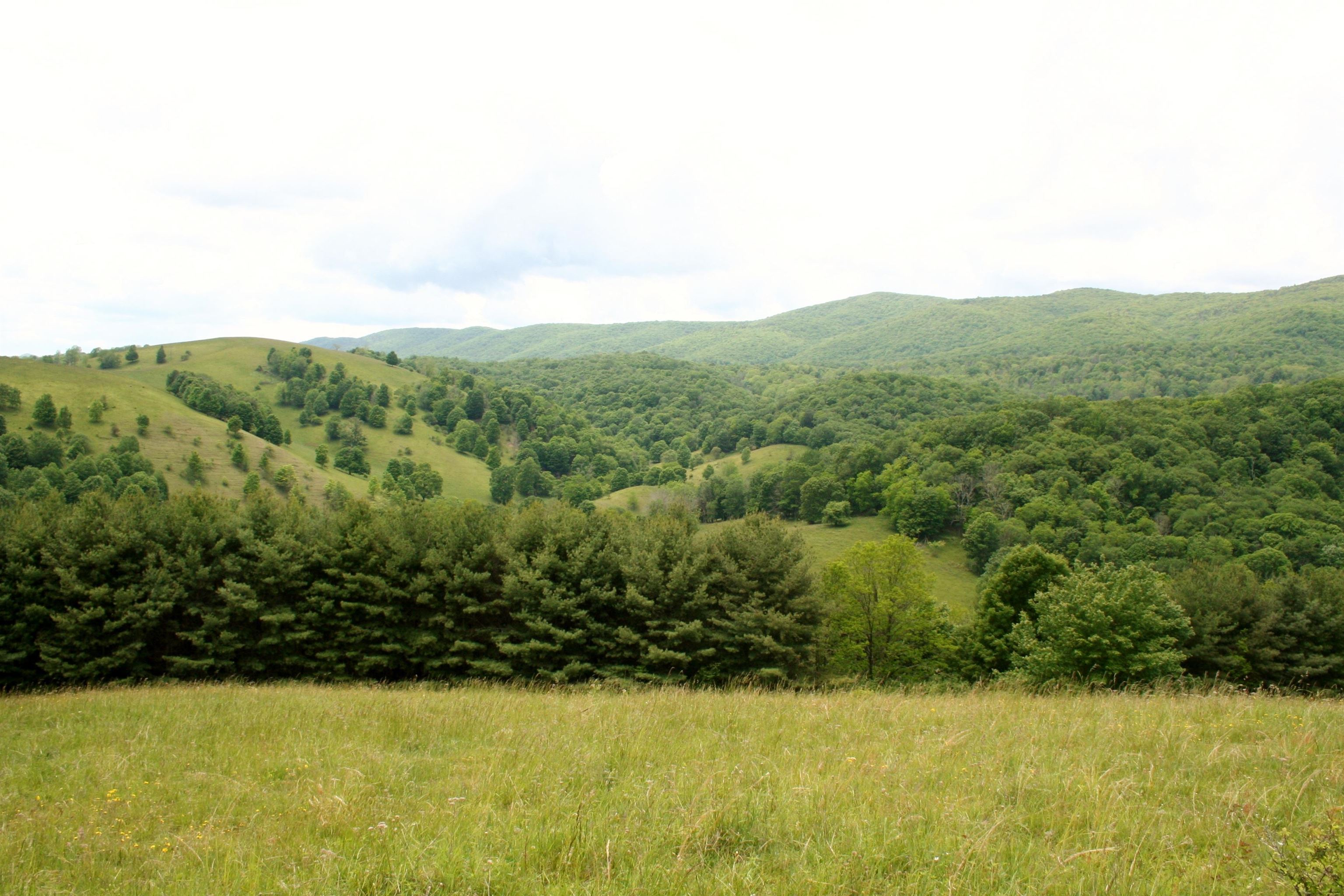 Seldom Seen Road McDowell, VA 24458 - Photo 29 of 30 a view of a yard with a sink