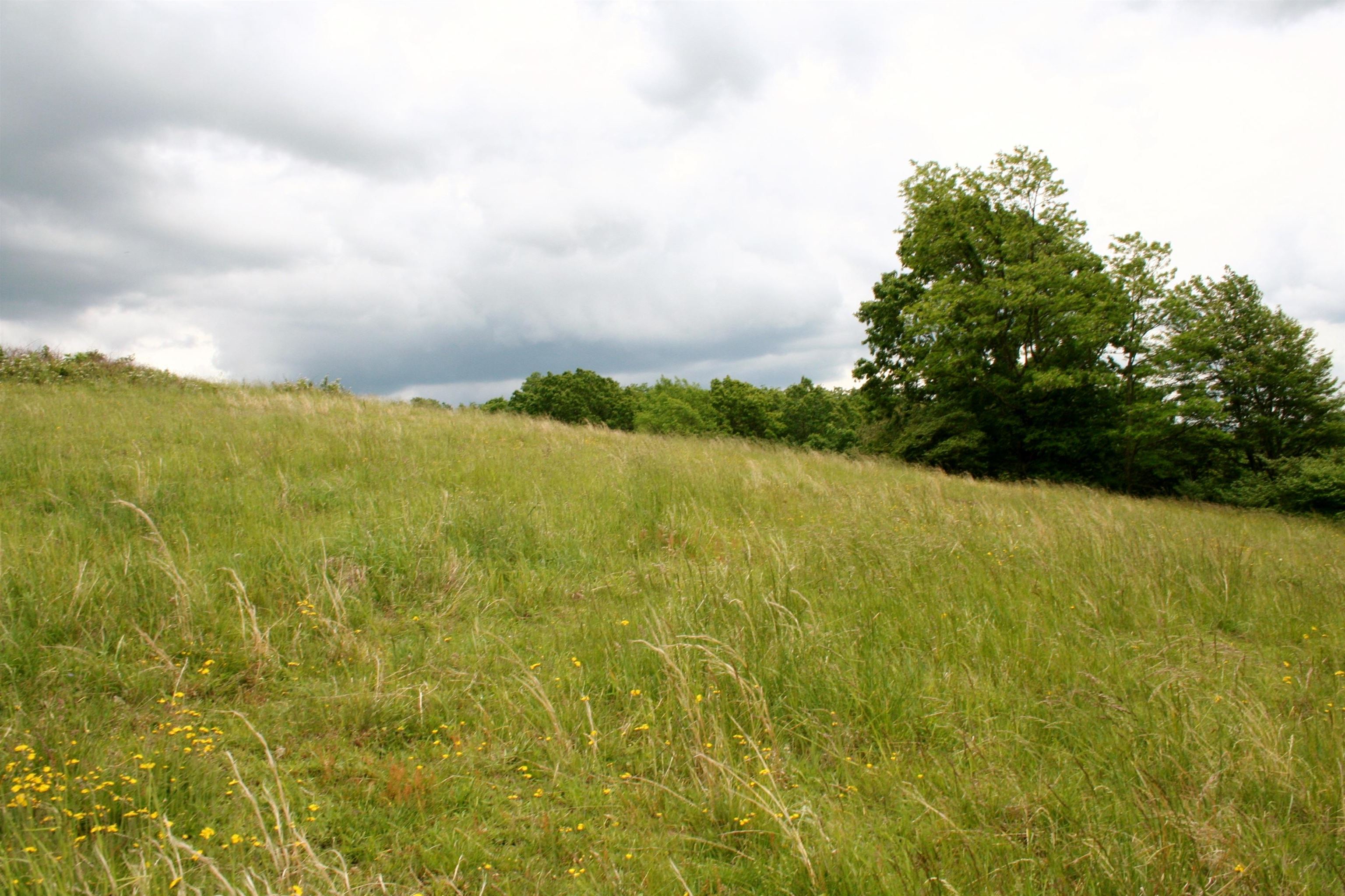 Seldom Seen Road McDowell, VA 24458 - Photo 30 of 30 a view of lake and mountain
