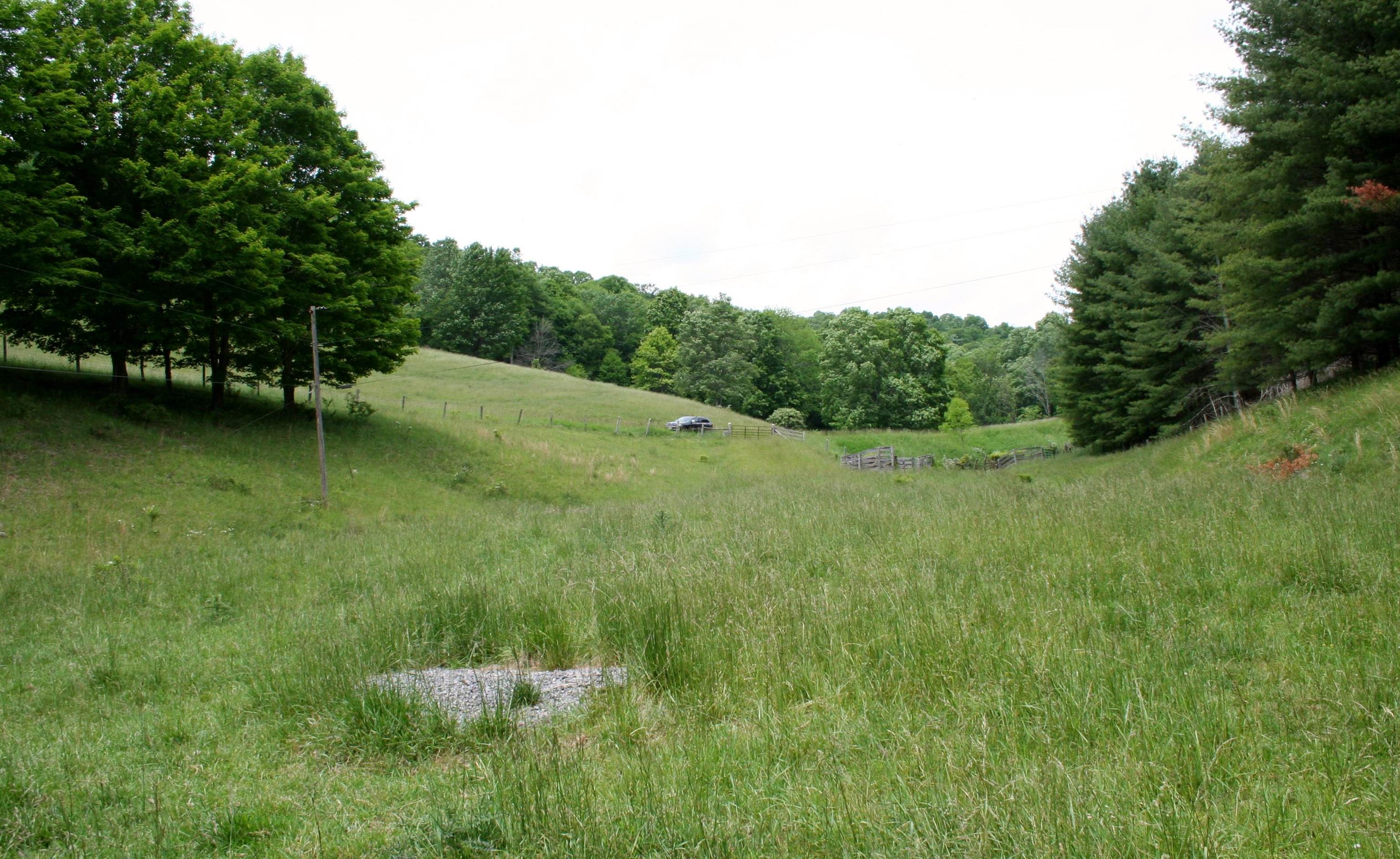 Seldom Seen Road McDowell, VA 24458 - Photo 3 of 30 a view of a lush green space