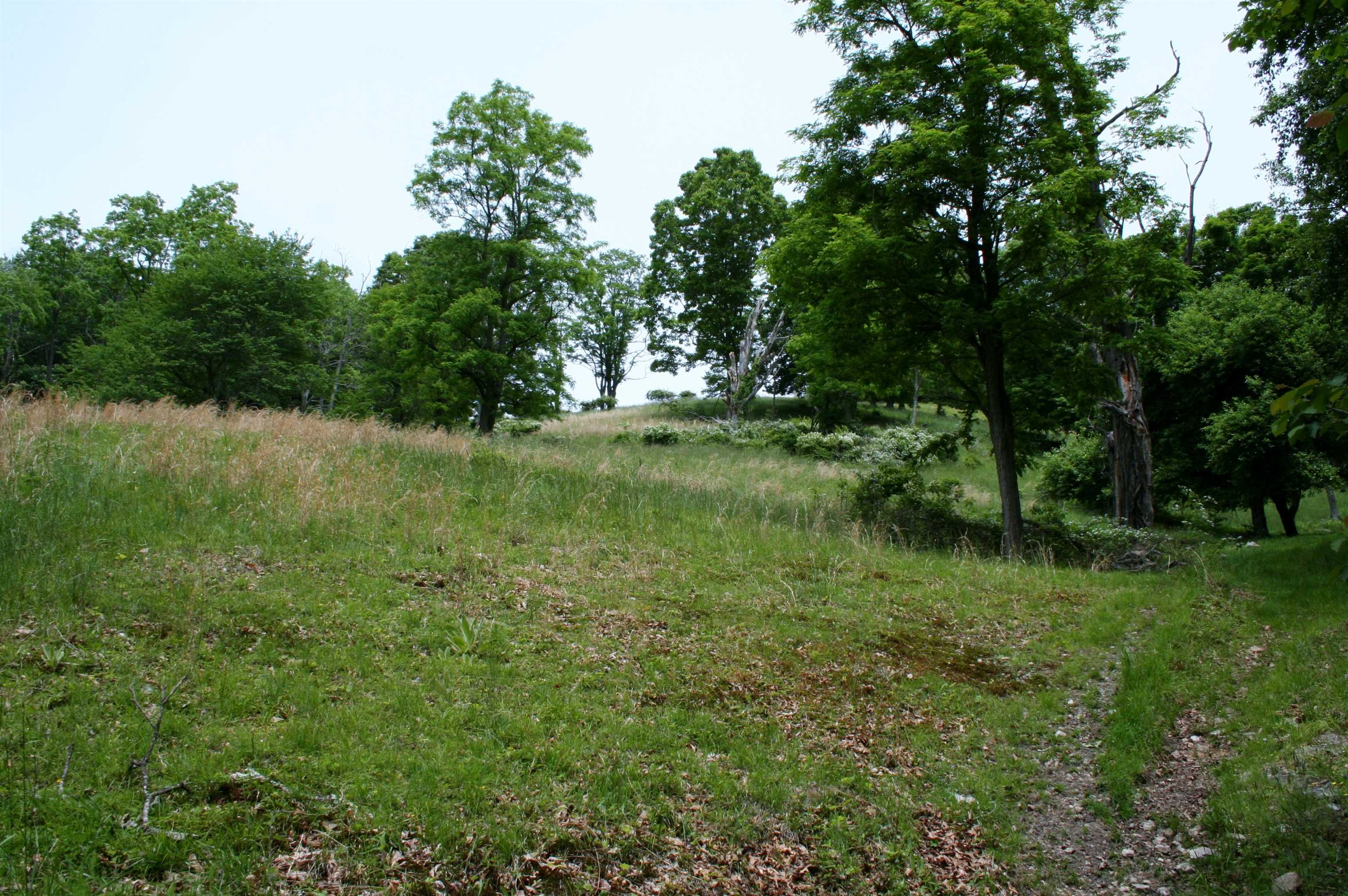 Seldom Seen Road McDowell, VA 24458 - Photo 5 of 30 a view of a lush green space