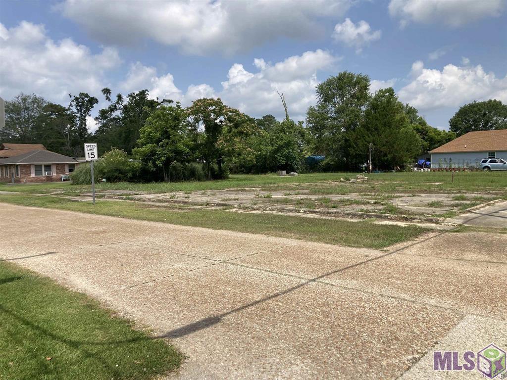 0 Pine Street Independence, LA 70443 - Photo 2 of 3