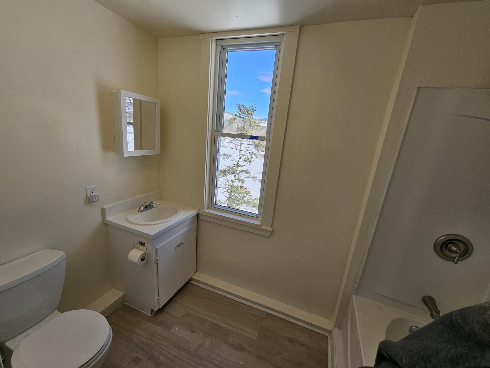 227 Rockingham Road, Unit 3 Rockingham, VT 05101 - Photo 10 of 15