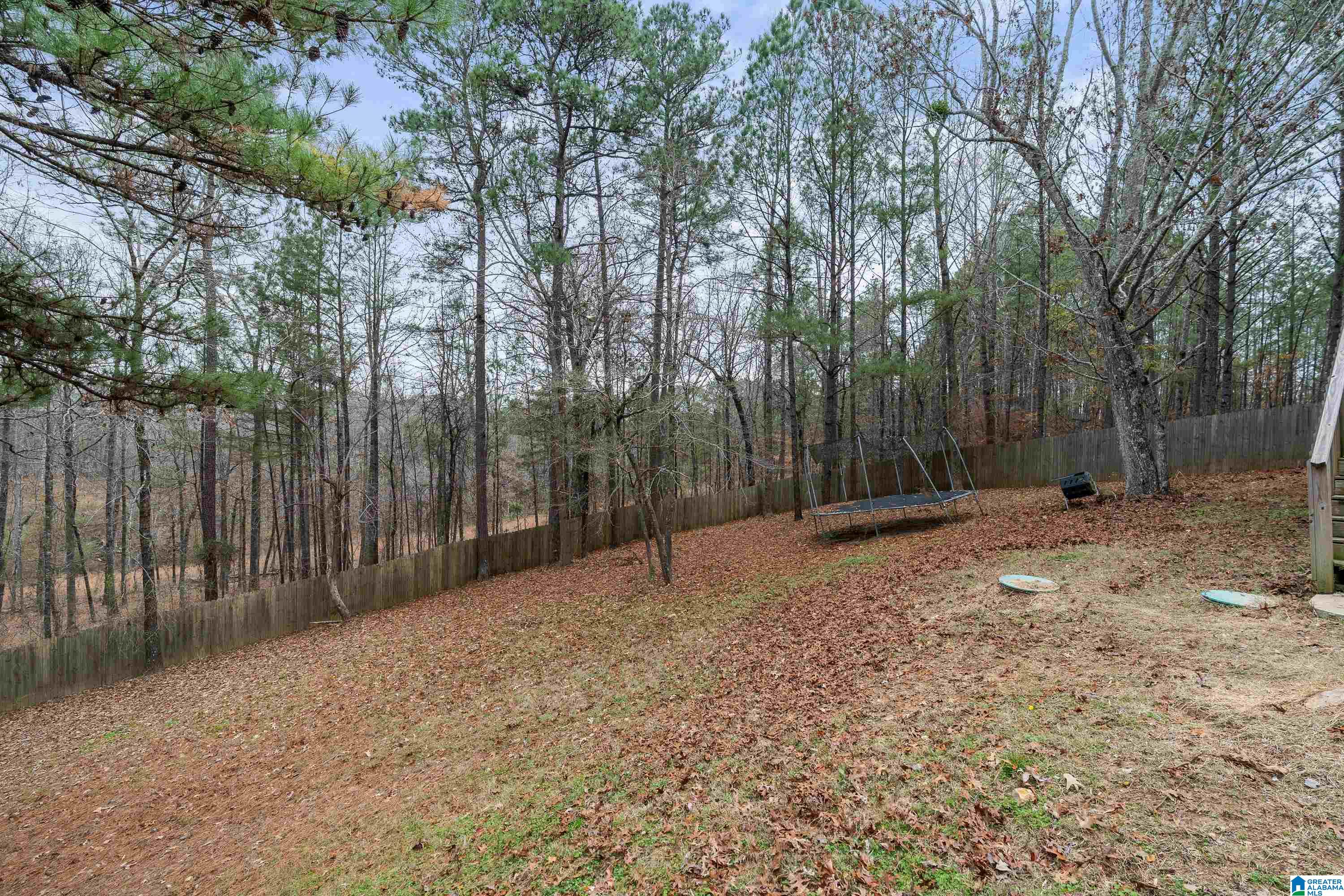 321 Deer Ridge Lane Chelsea, AL 35043 - Photo 35 of 36