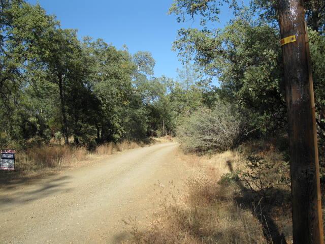Lot53 Scharsch Road Shingletown, CA 96088 - Photo 3 of 3 a view of a yard with a tree
