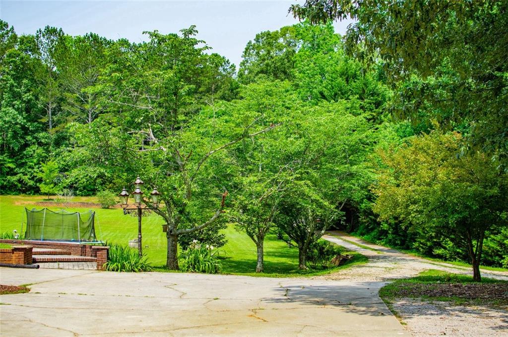 6919 Mt Zion Road Waco, GA 30182 - Photo 5 of 79 a view of a yard