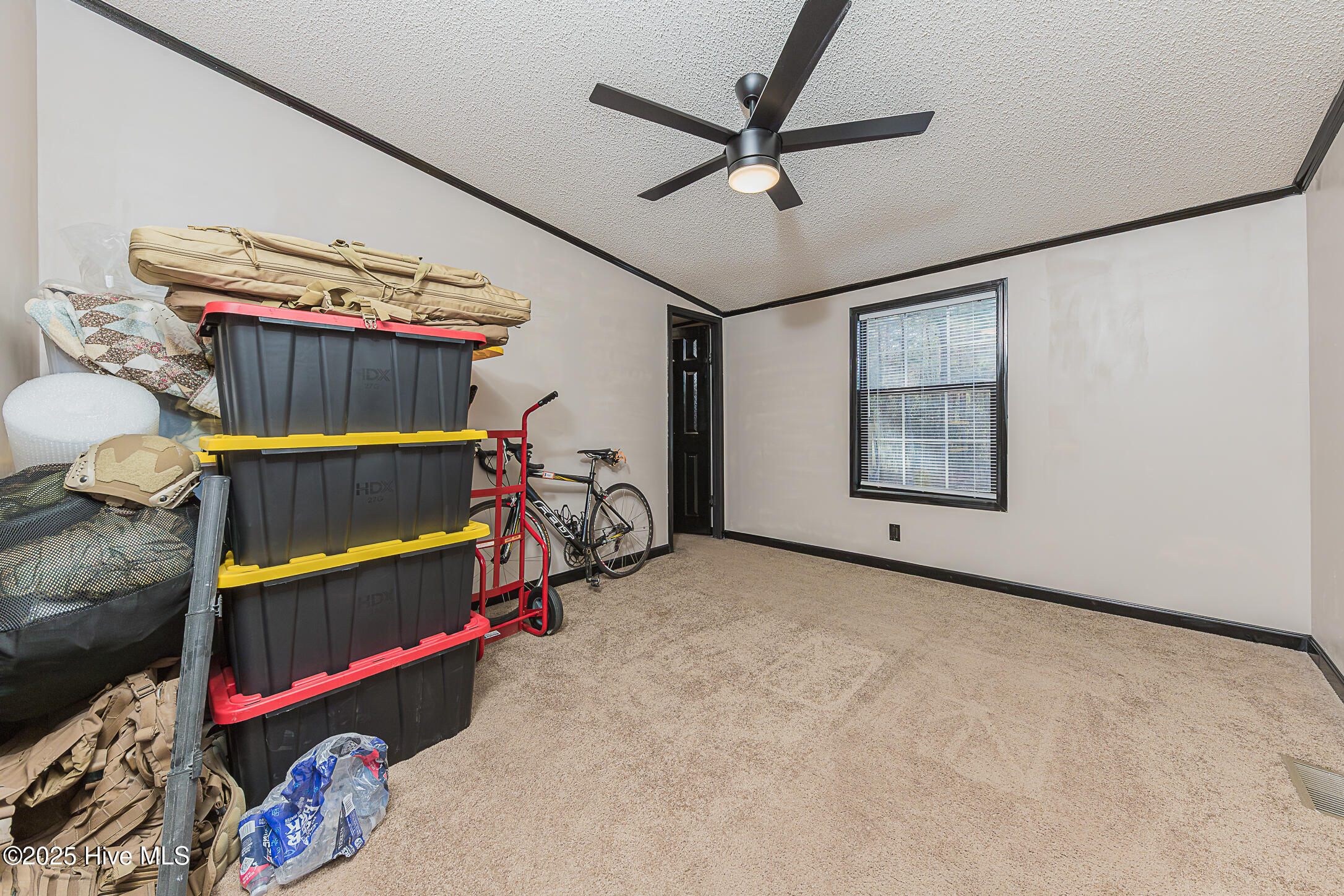 607 Maynard Boulevard Jacksonville, NC 28546 - Photo 36 of 66 36BED2