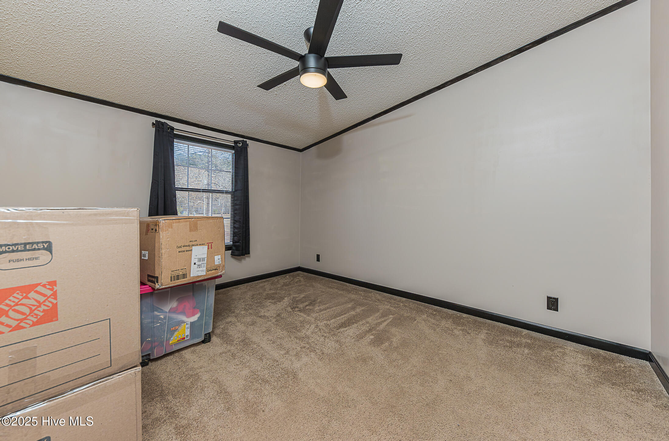 607 Maynard Boulevard Jacksonville, NC 28546 - Photo 39 of 66 39BED3