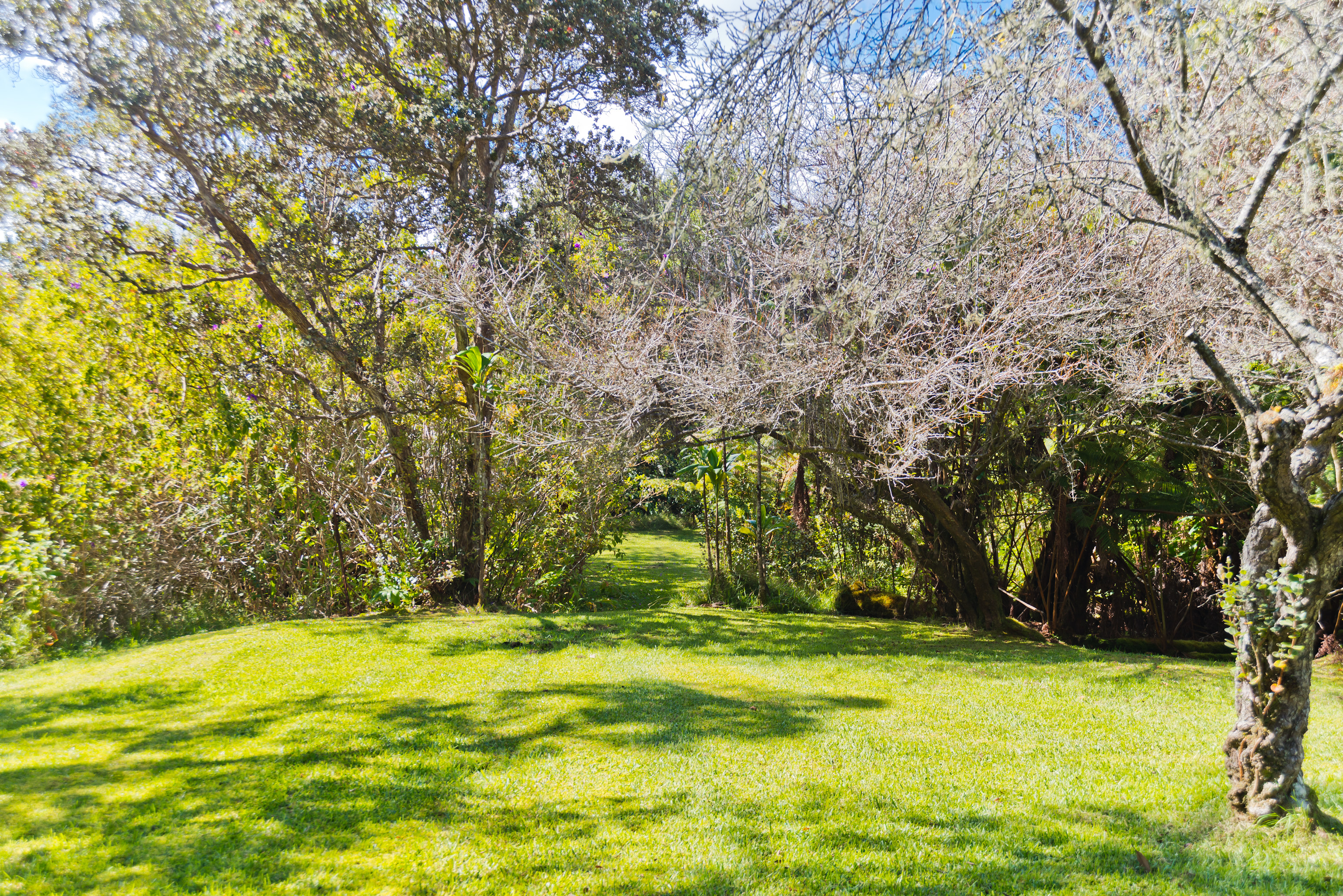 19-4113 Haunani Road Volcano, HI 96785 - Photo 25 of 30 a view of swimming pool with an outdoor space